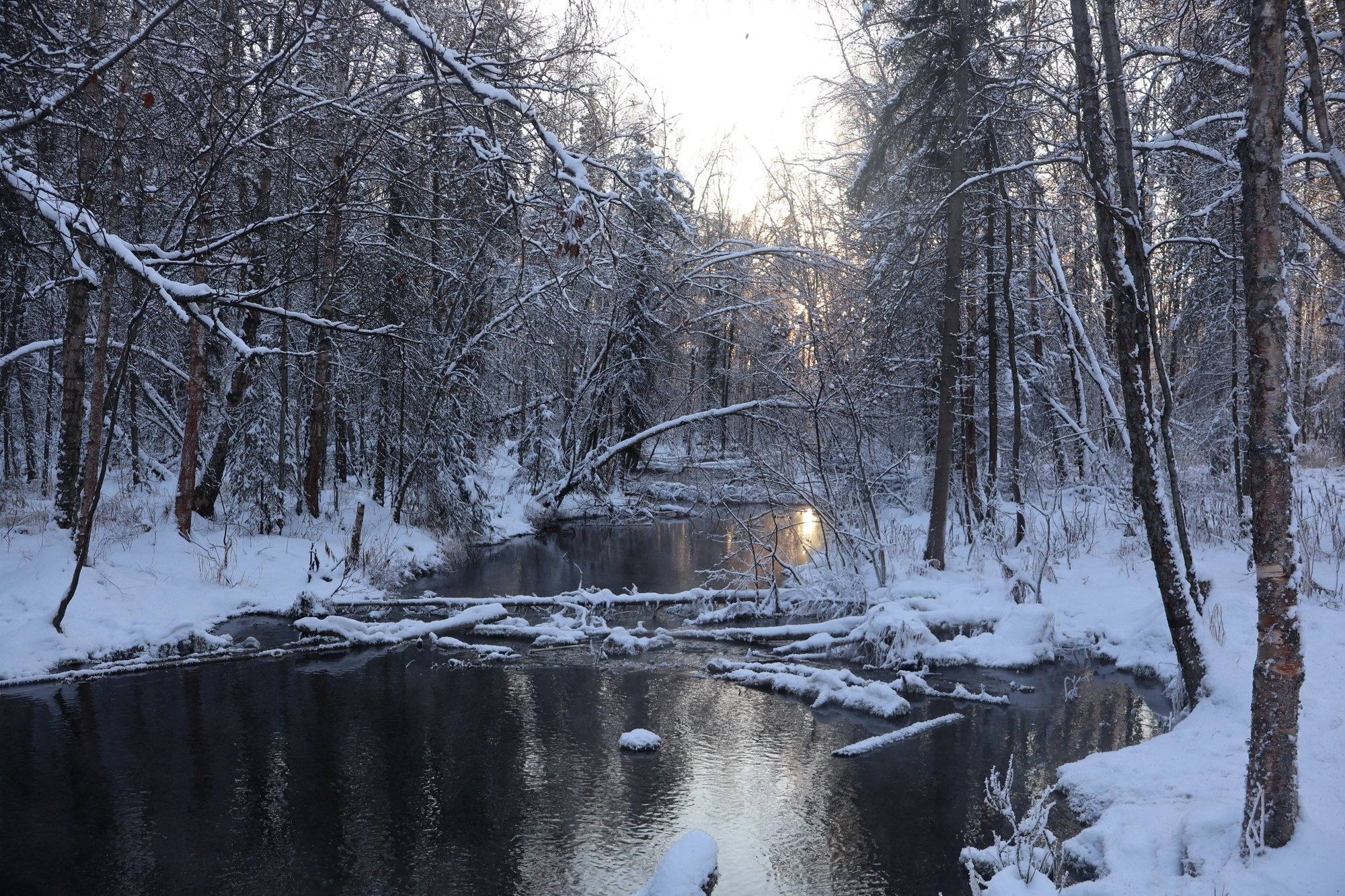 Chester Creek