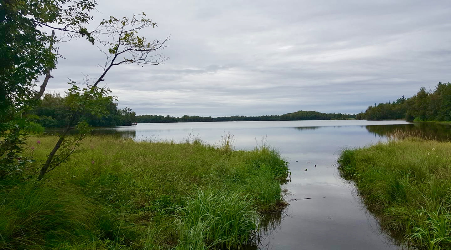 Finger Lake