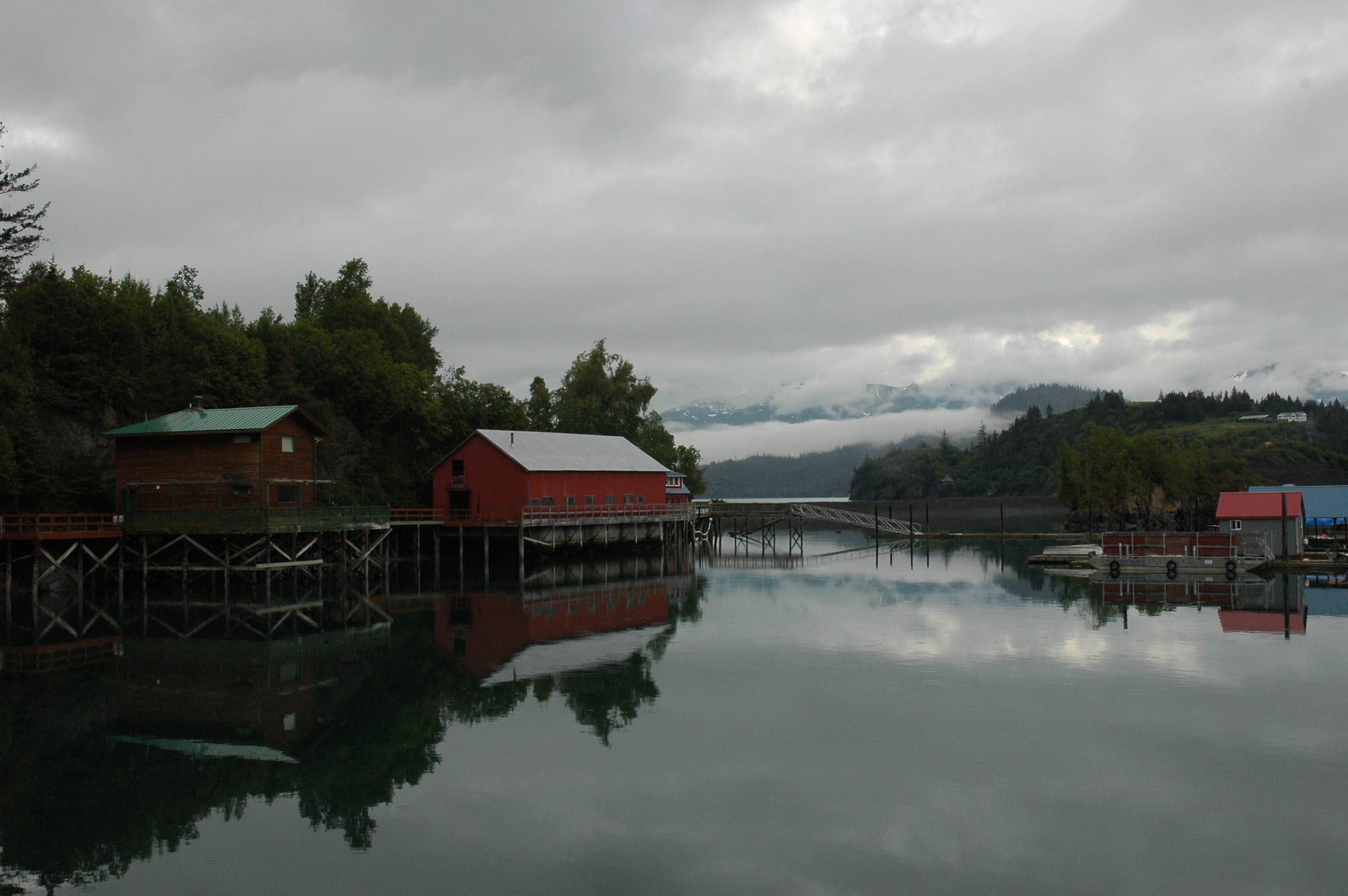 Halibut Cove
