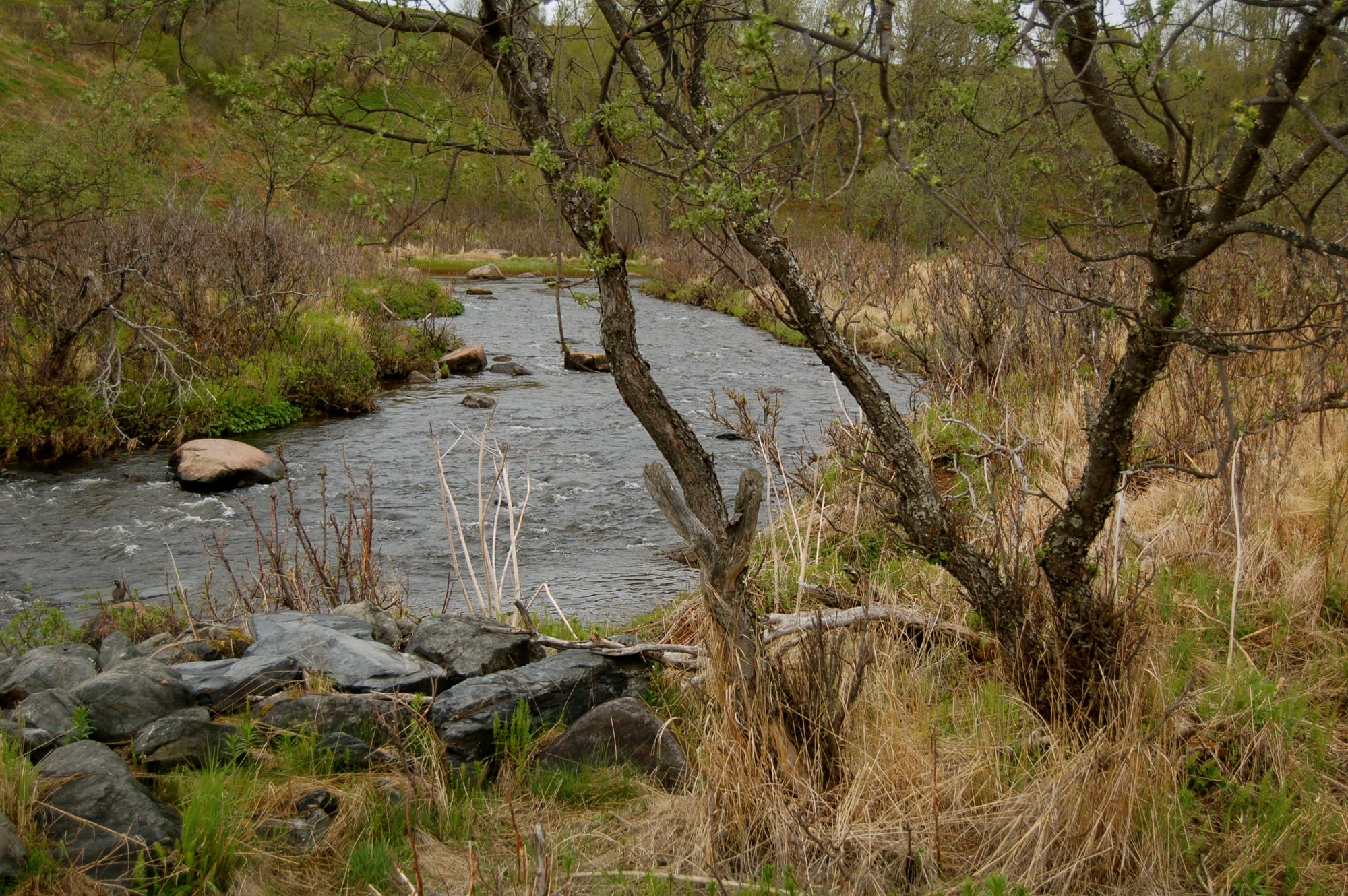 Ninilchik River