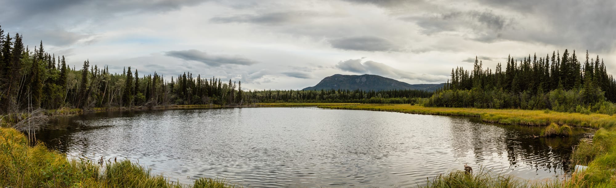 Pippin Lake