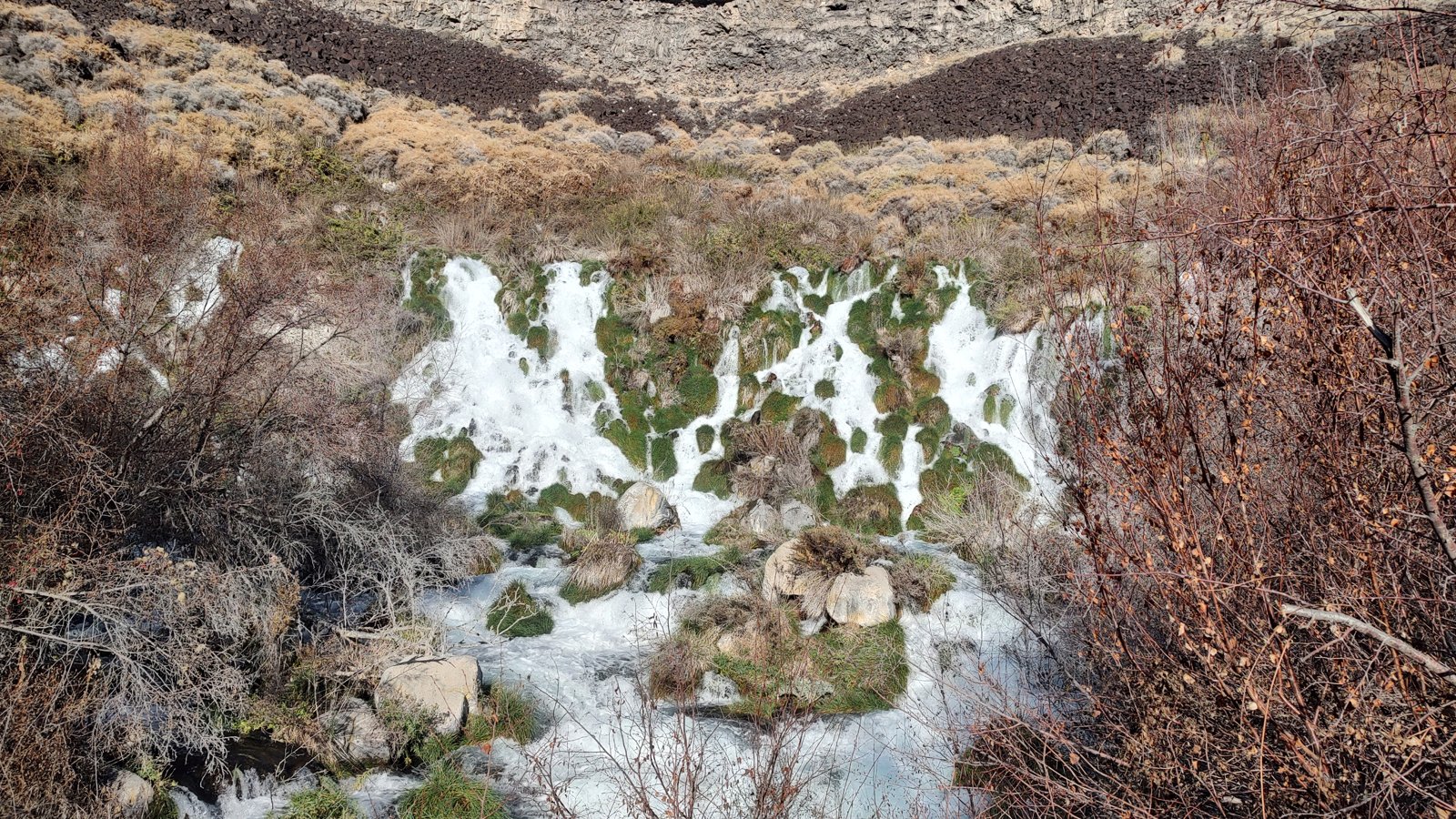 Niagara Springs