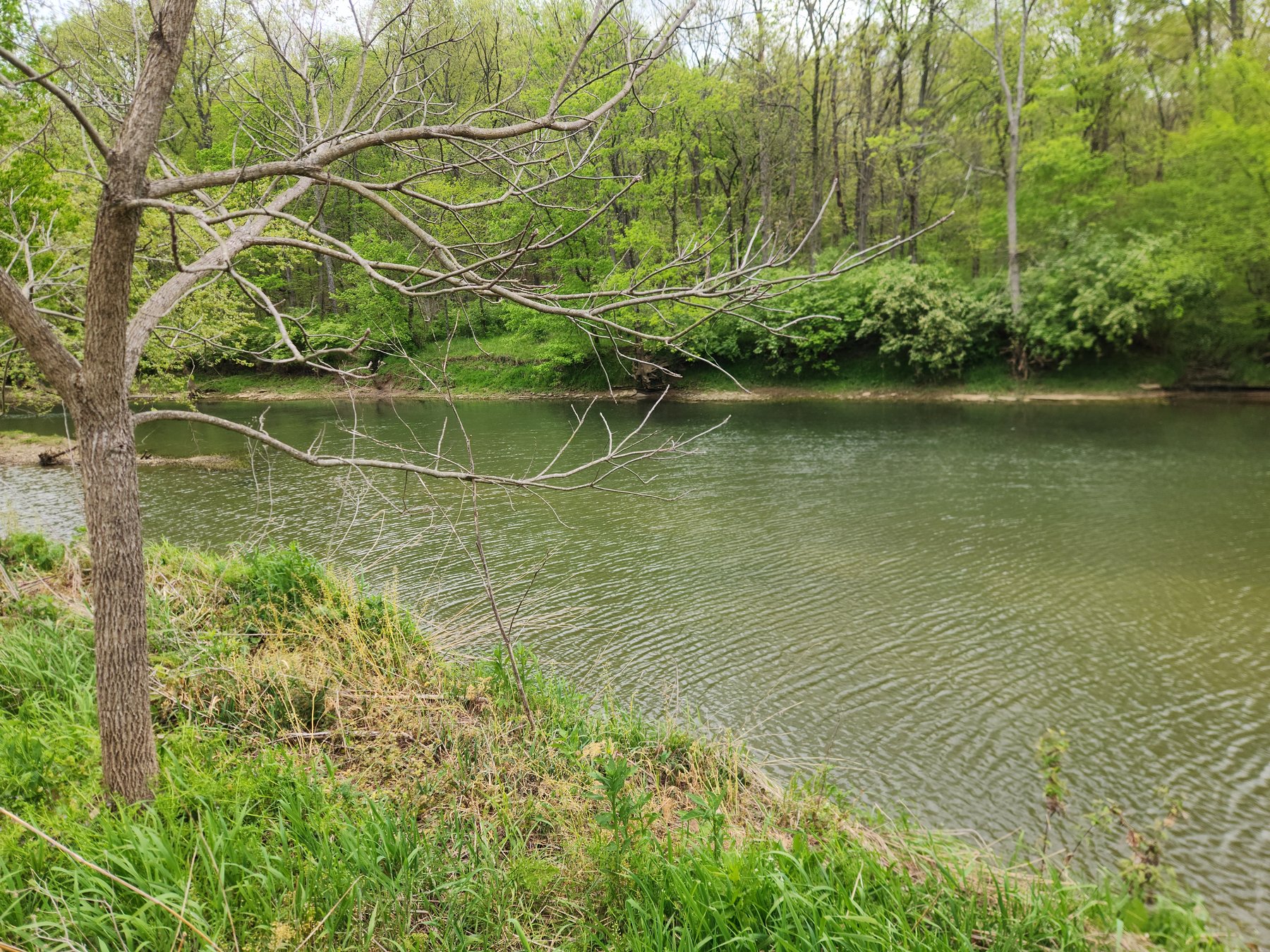 Floyds Fork Creek