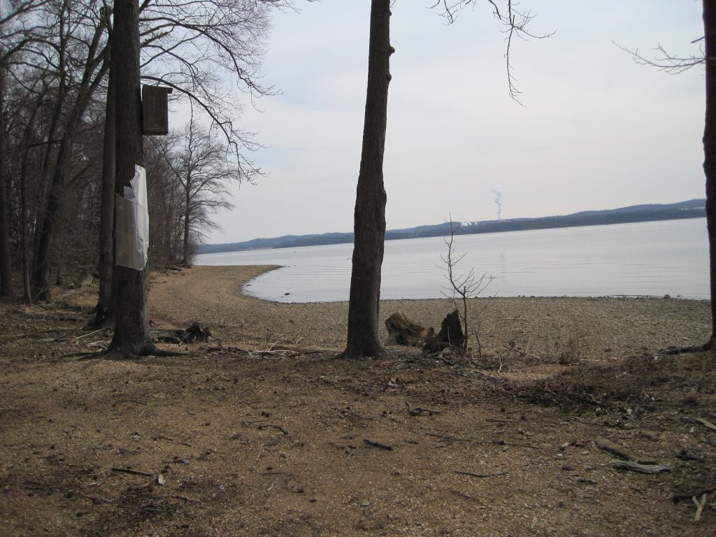 Photo of Kentucky Lake