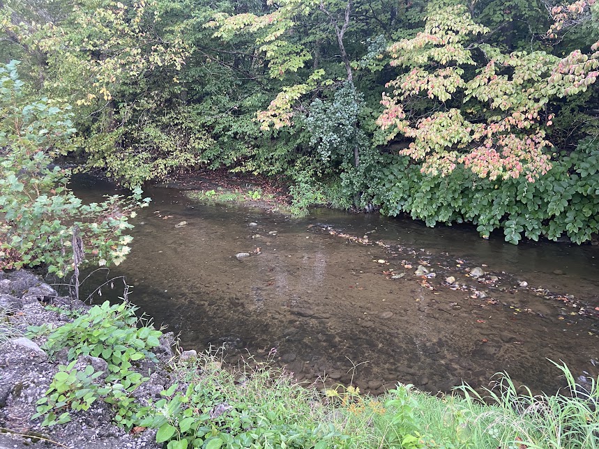 Looney Creek