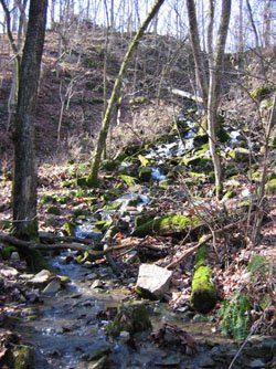 Otter Creek ORA