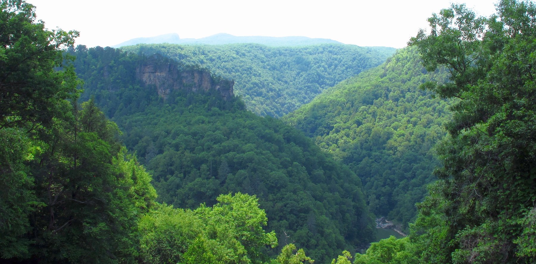Russel Fork Creek