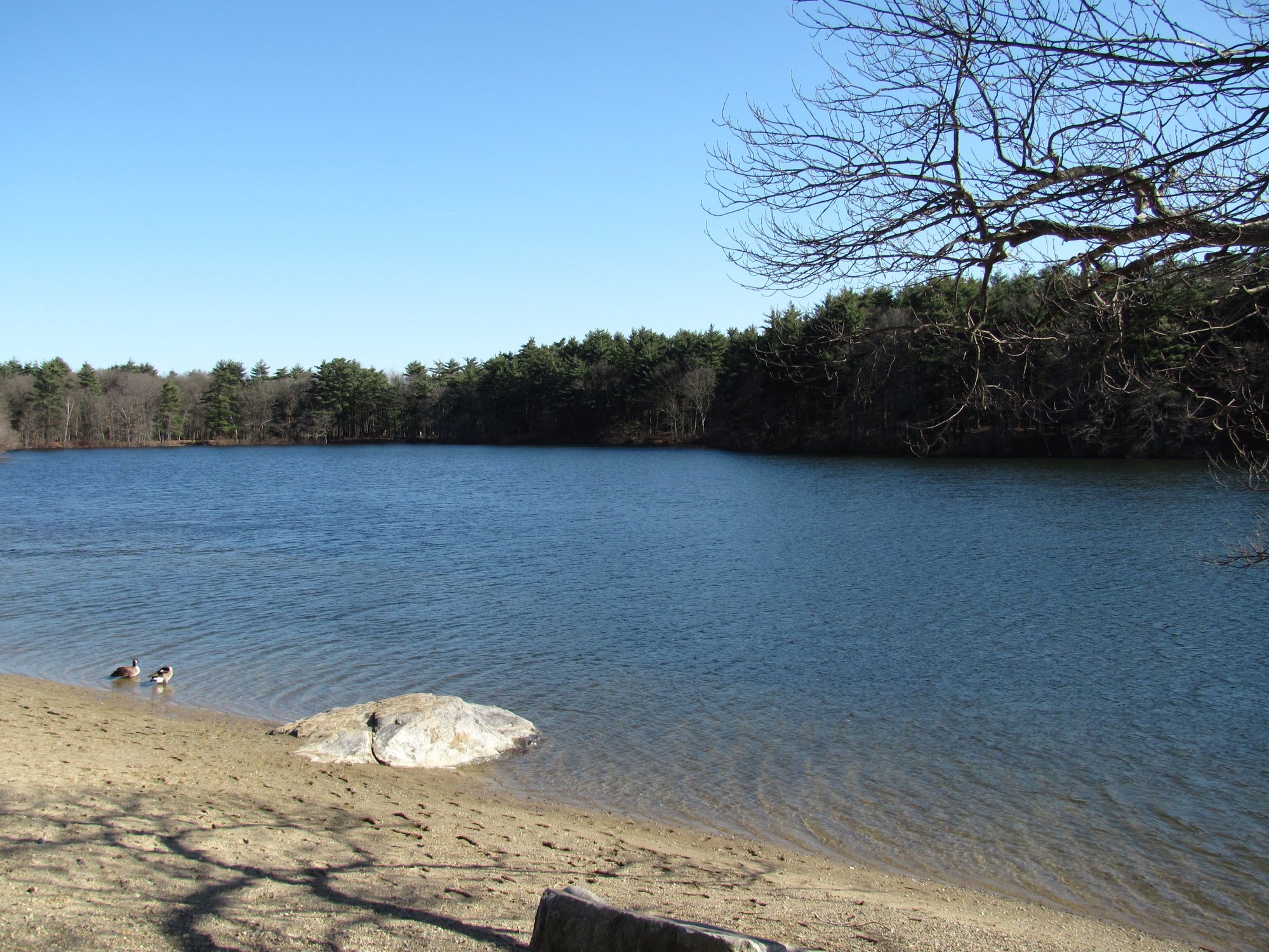 Houghtons Pond (Milton)