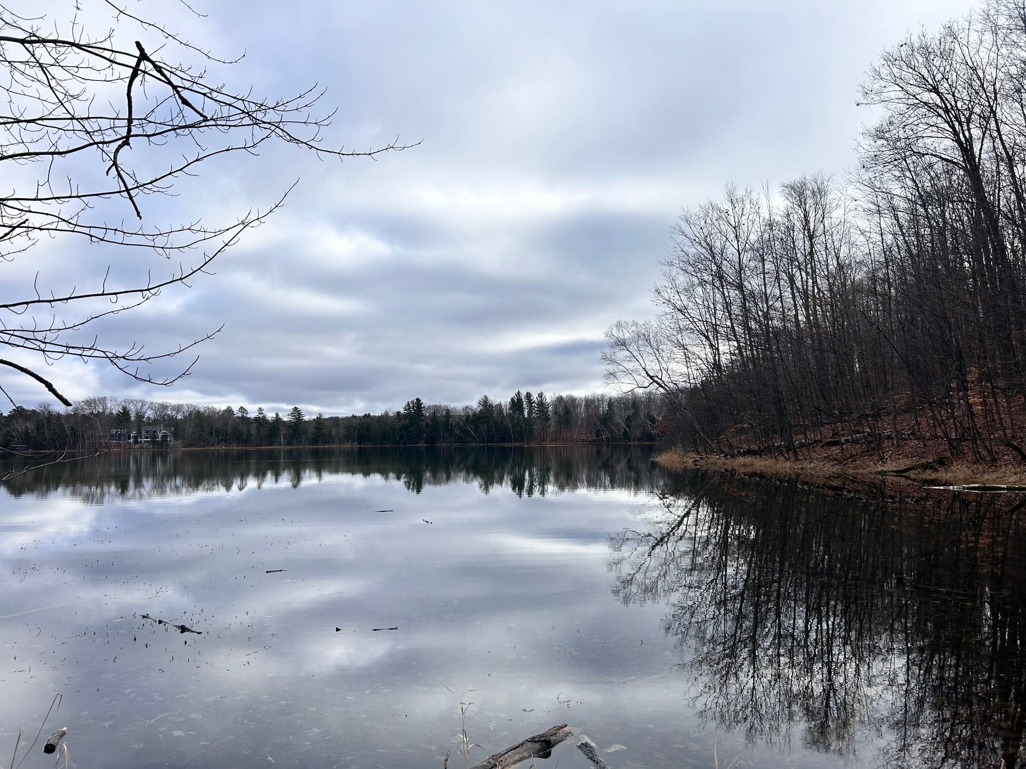 Arbutus Lake