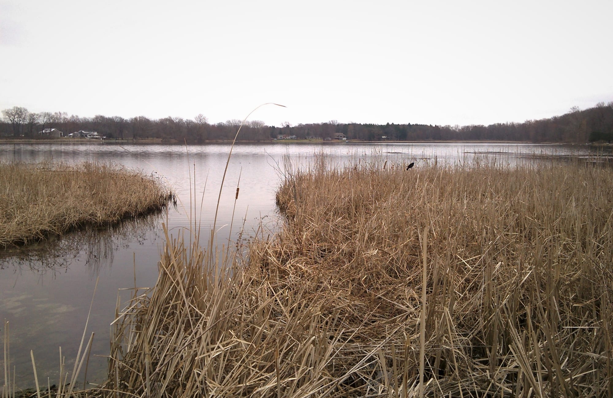 Fennessy Lake