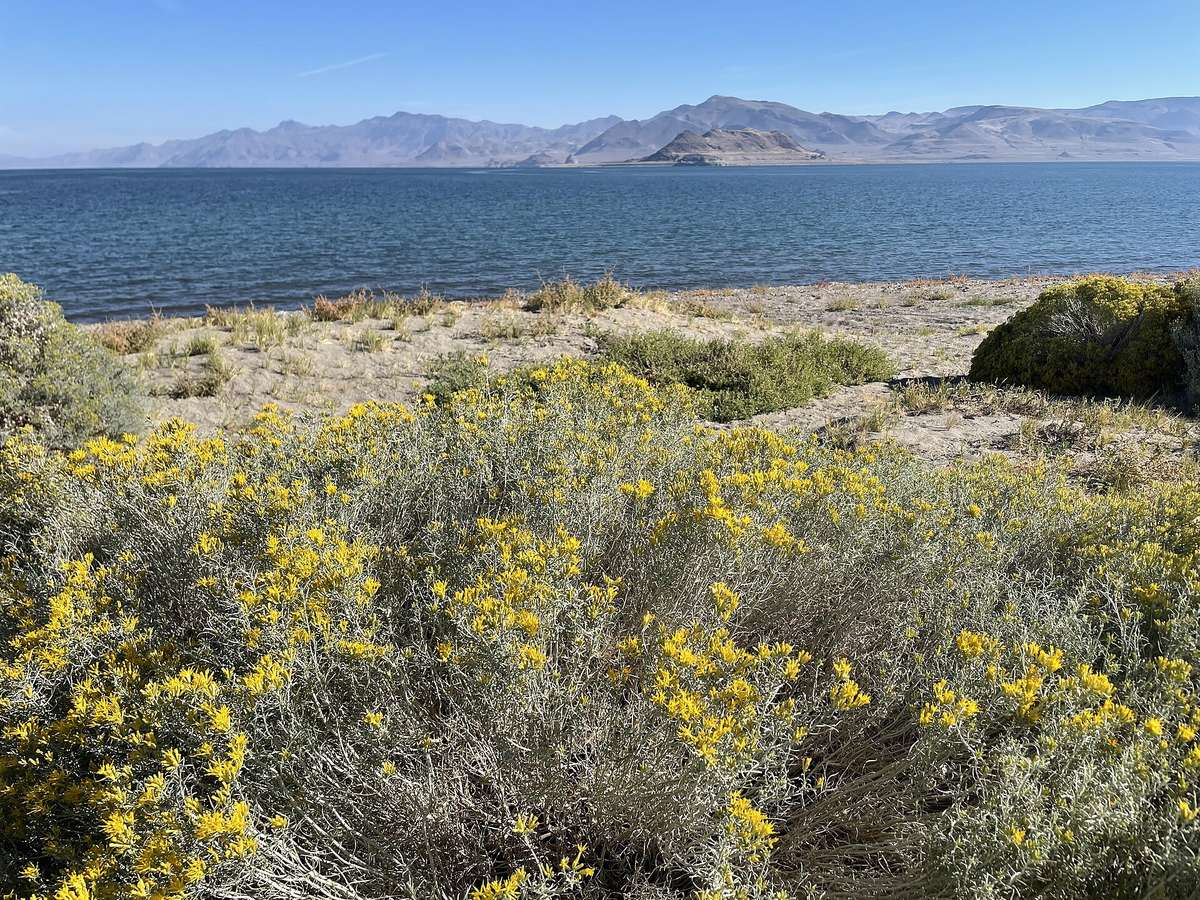 Photo of Pyramid Lake