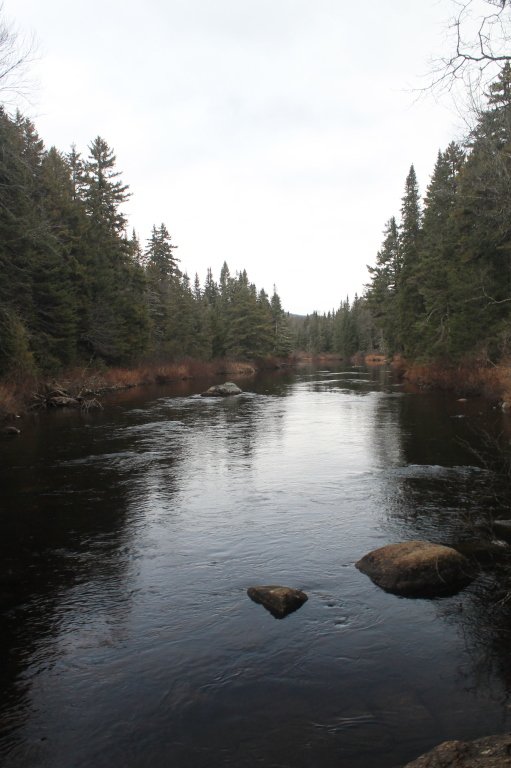 Boreas River