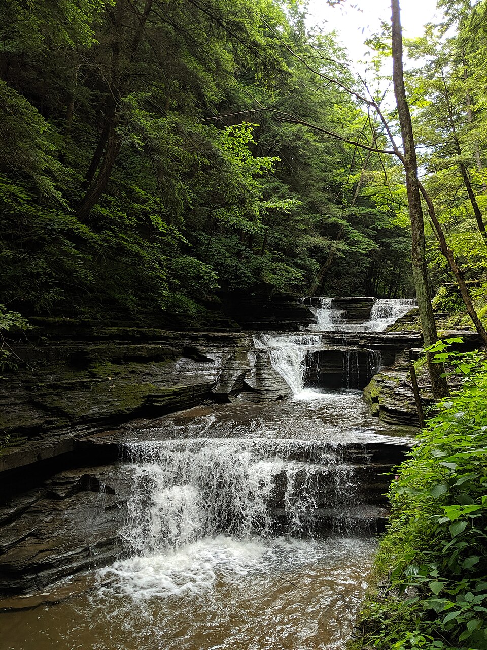 Buttermilk Creek