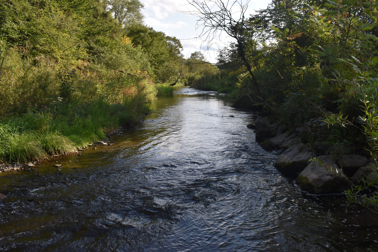 Butternut Creek