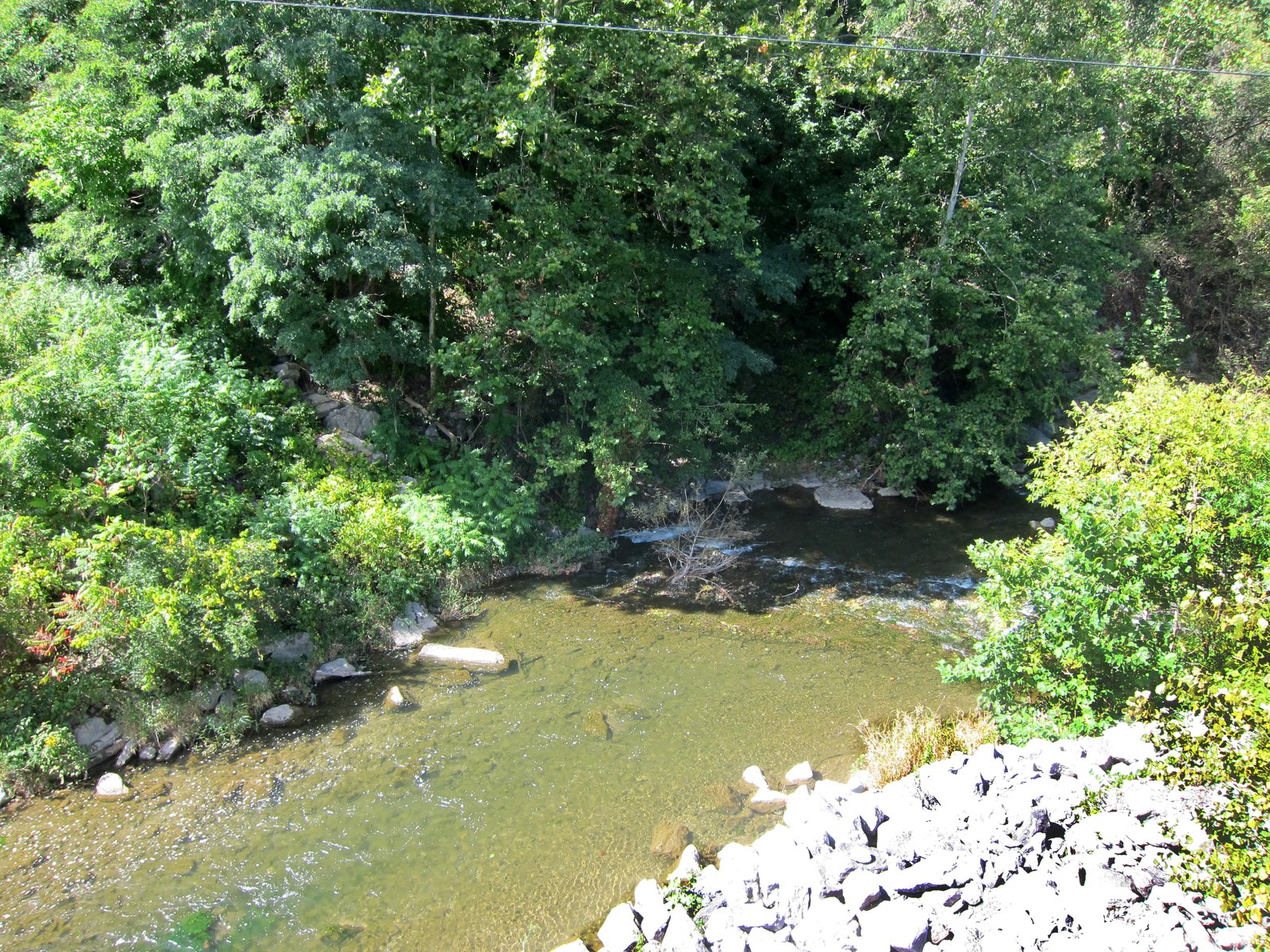 Butternut Creek