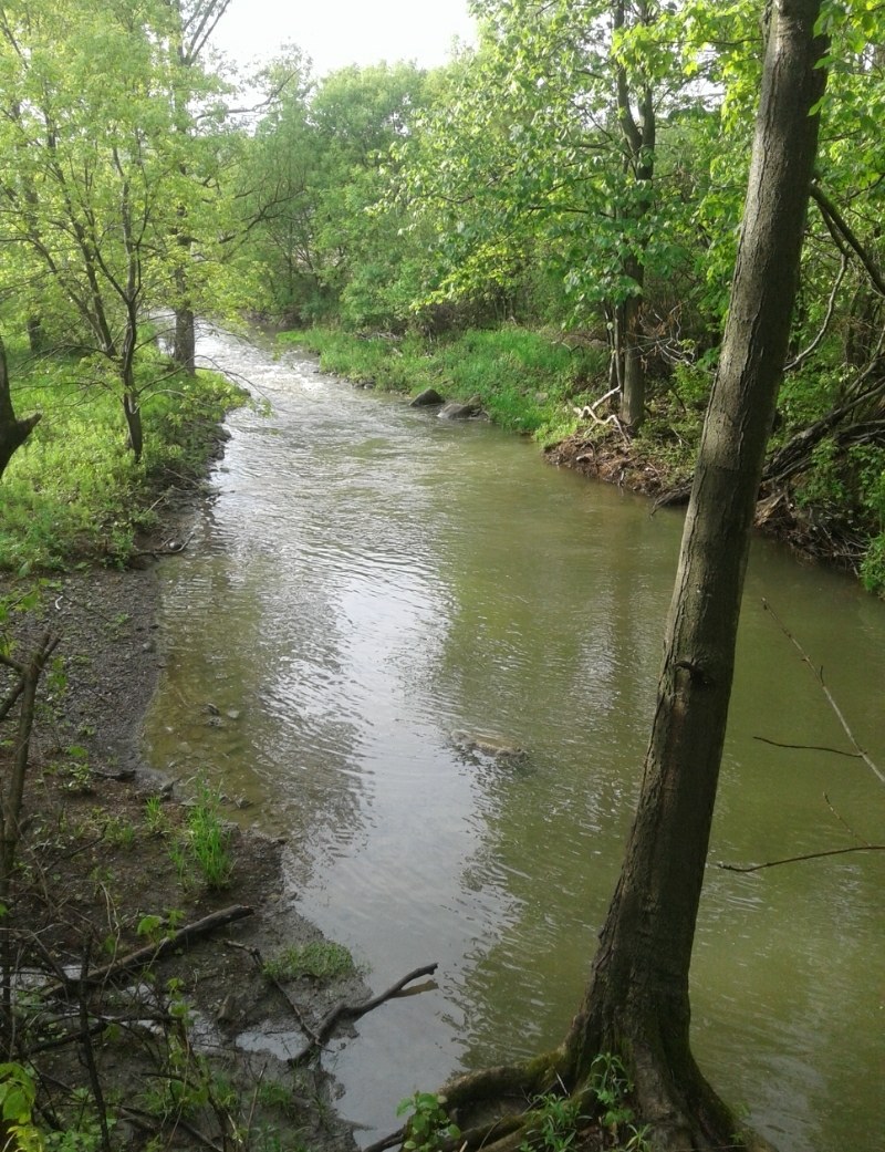 Canajoharie Creek