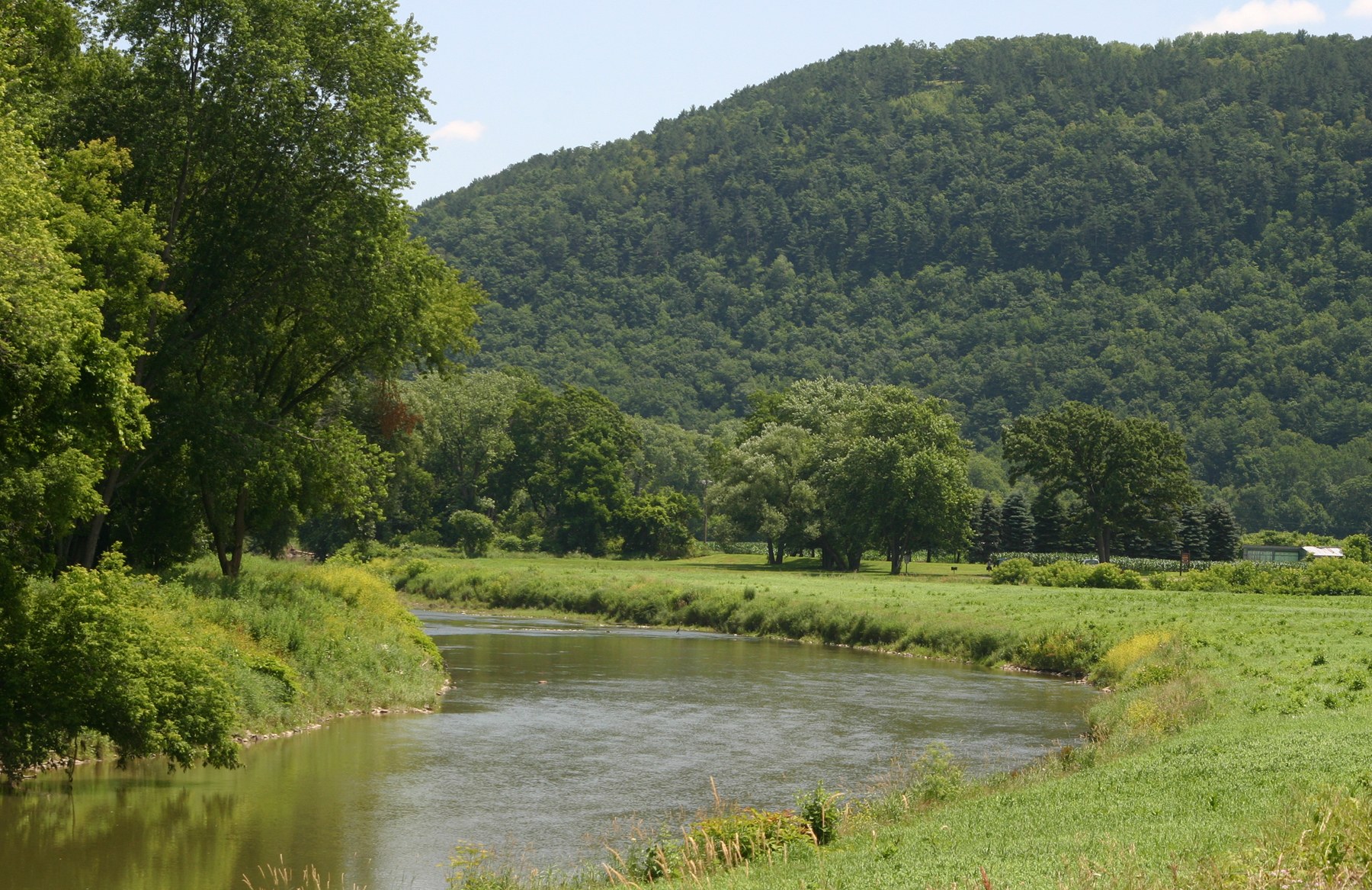 Canisteo River