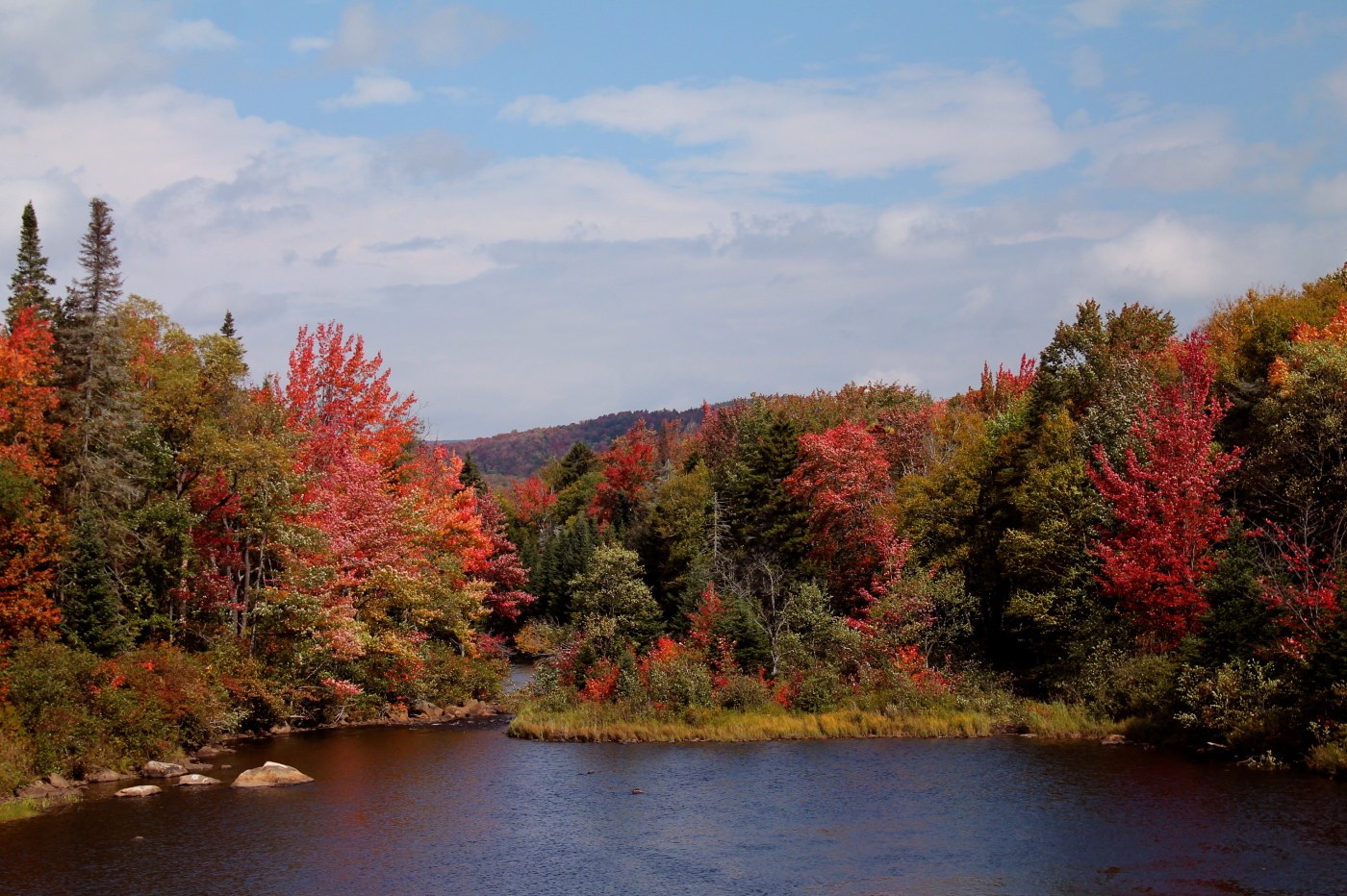Cedar River Flow