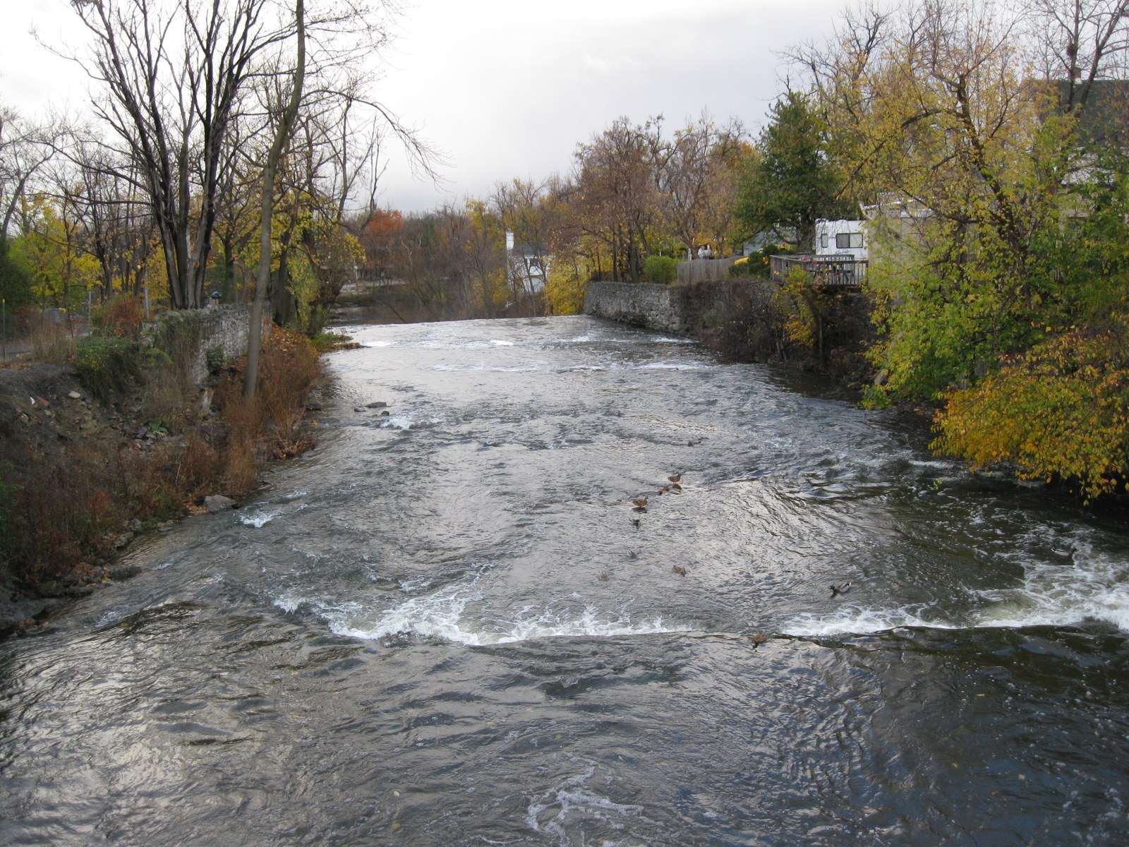 Ellicott Creek