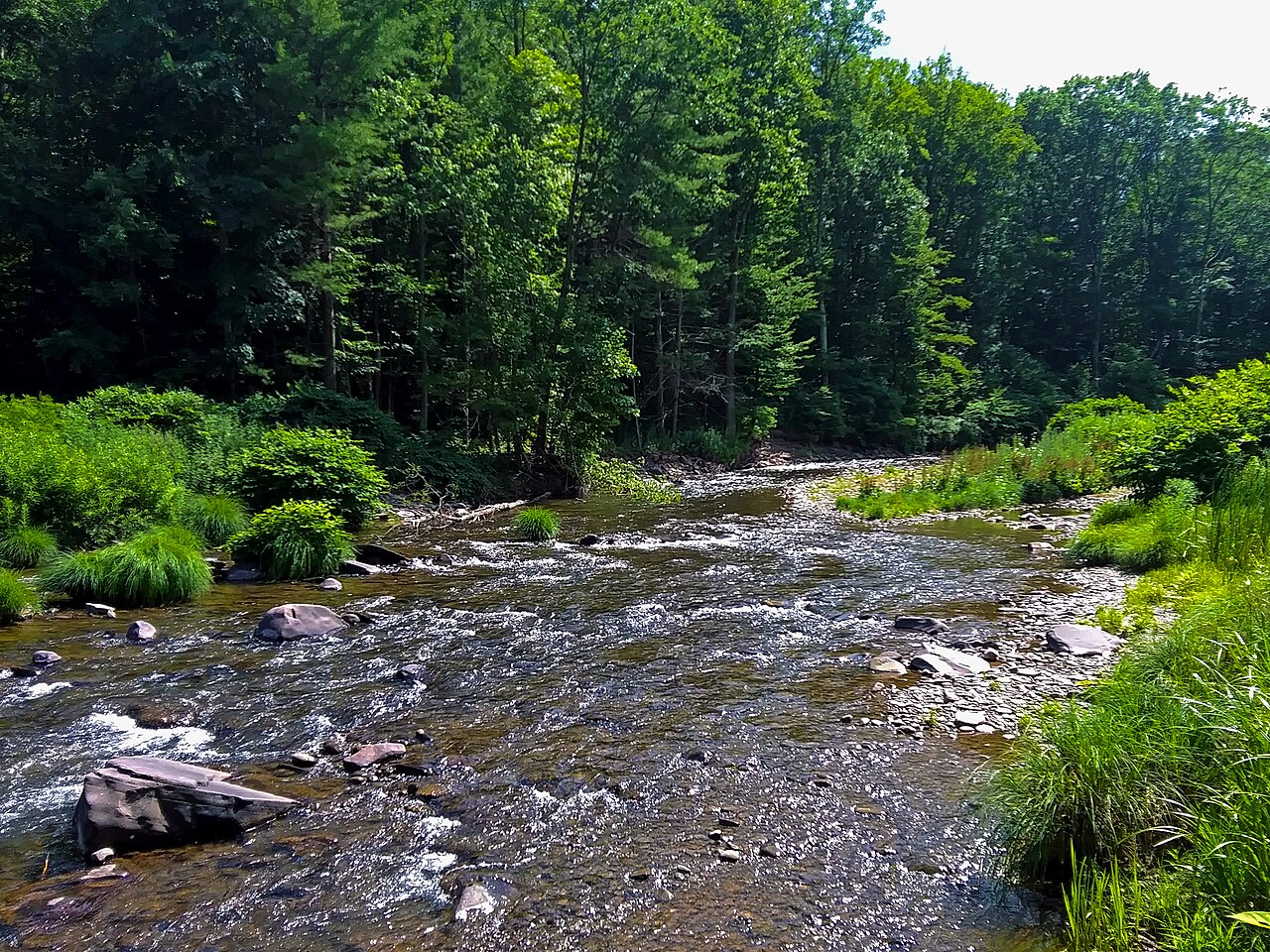 Esopus Creek