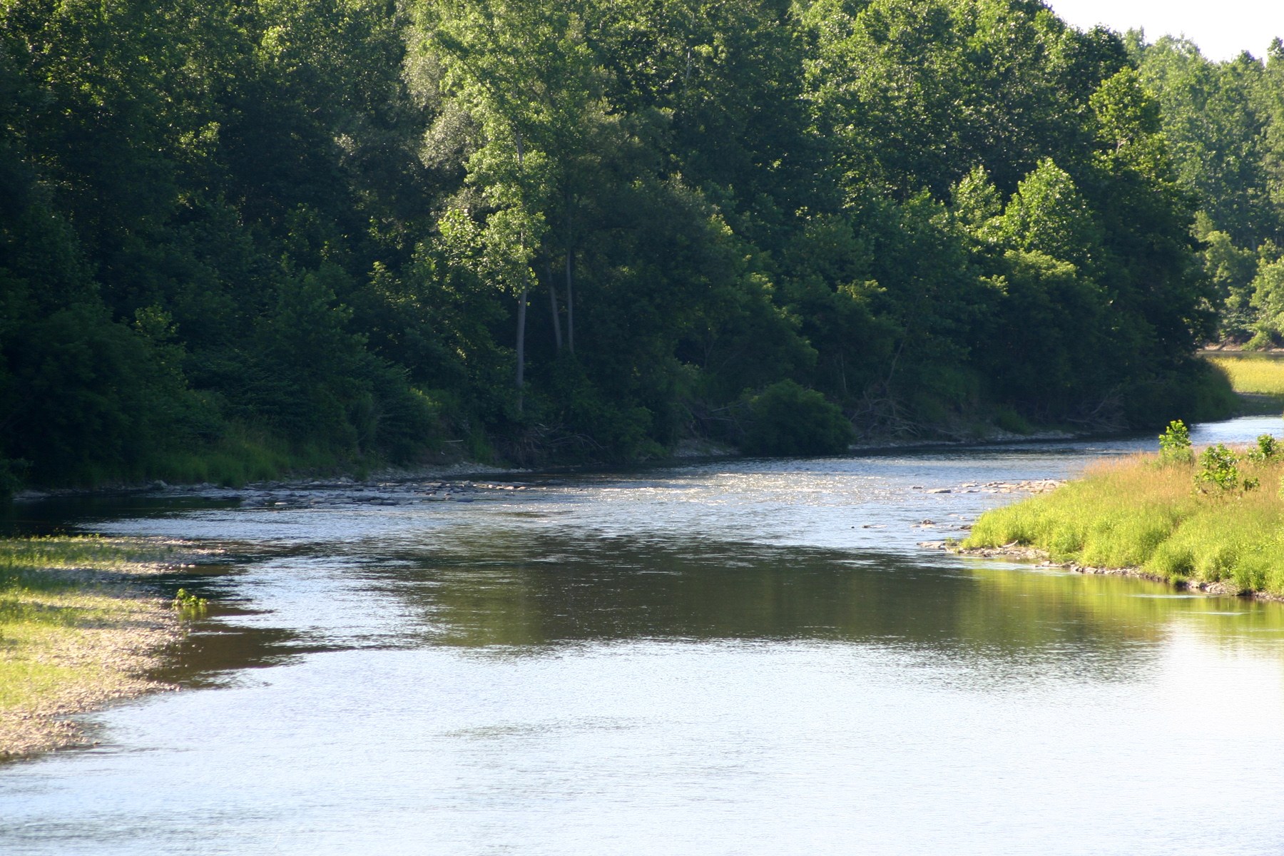 Genesee River