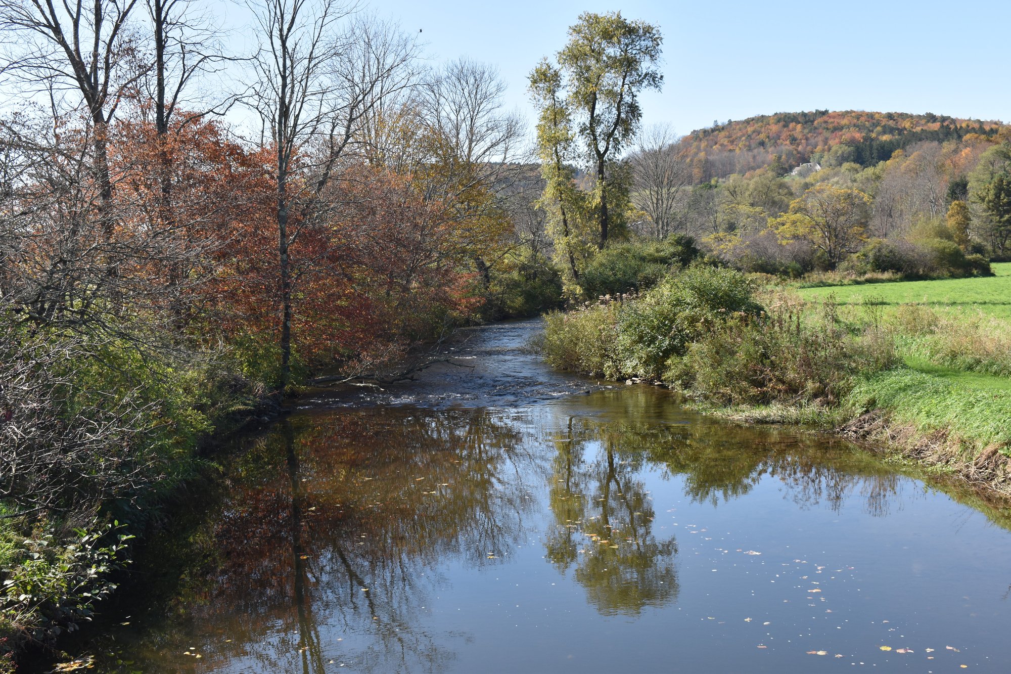 Otego Creek