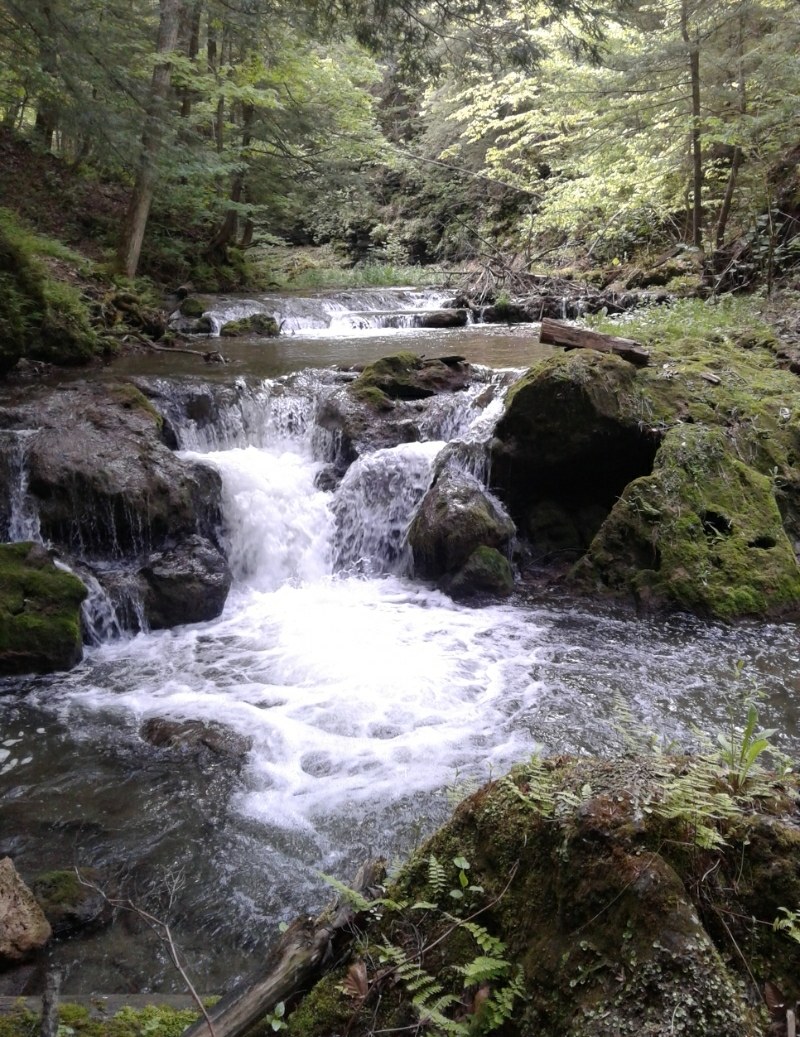Otsquago Creek