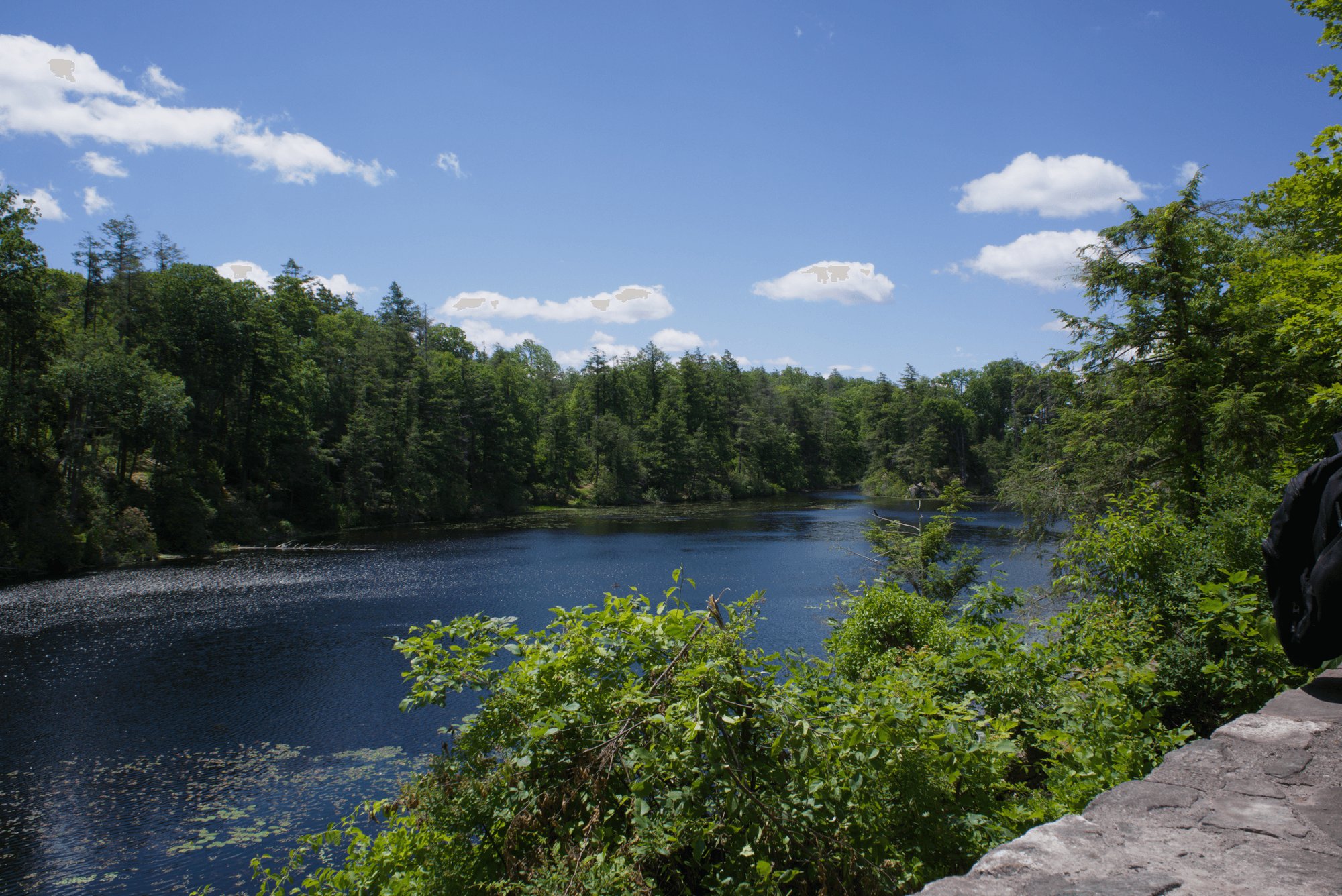 Pelton Pond