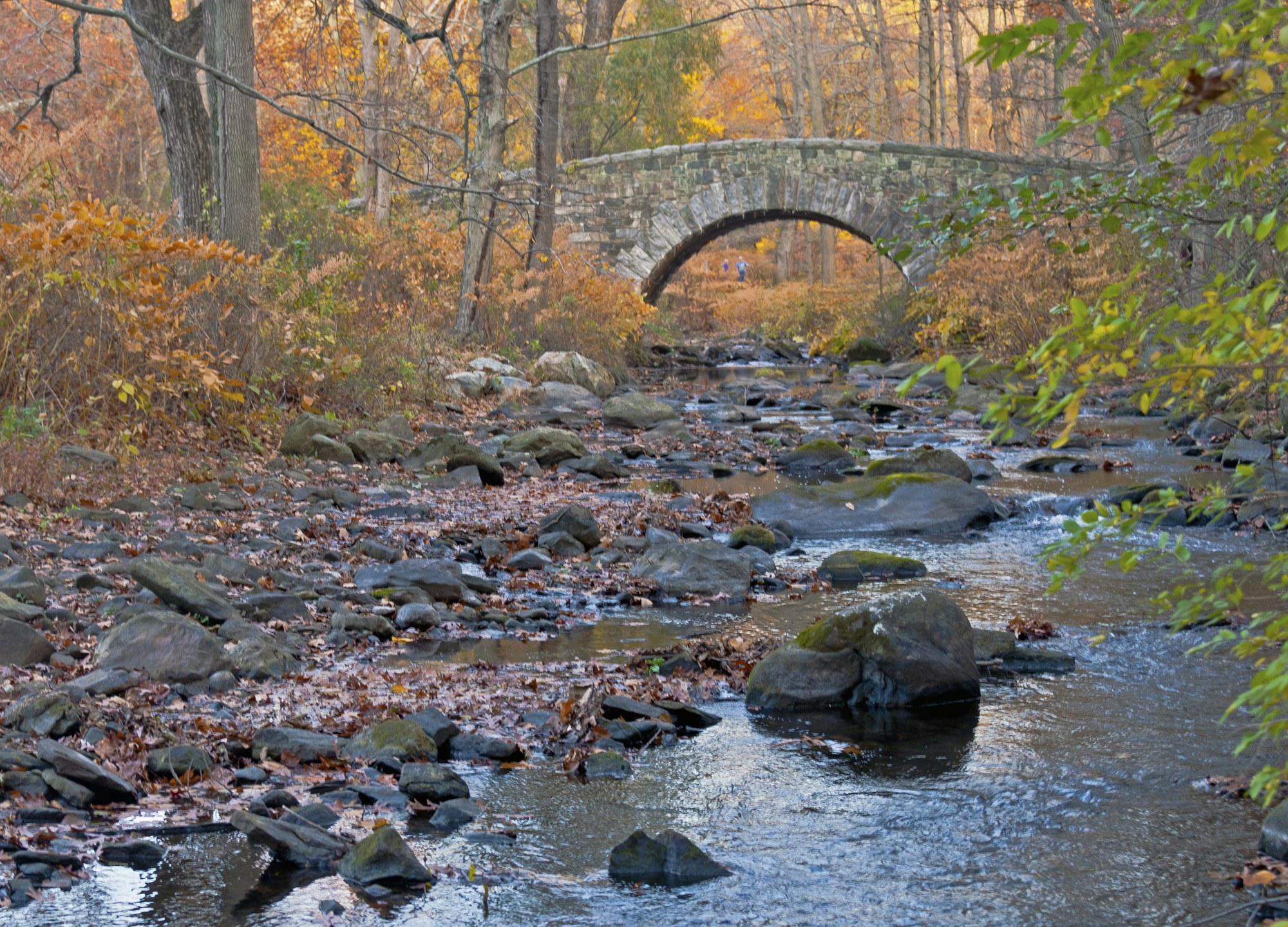 Pocantico River