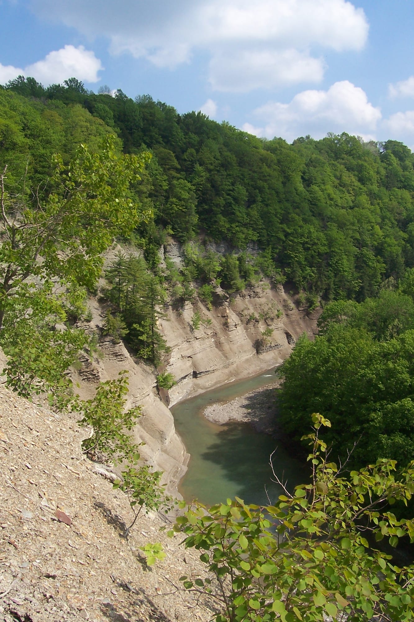 South Branch Cattaraugus Creek