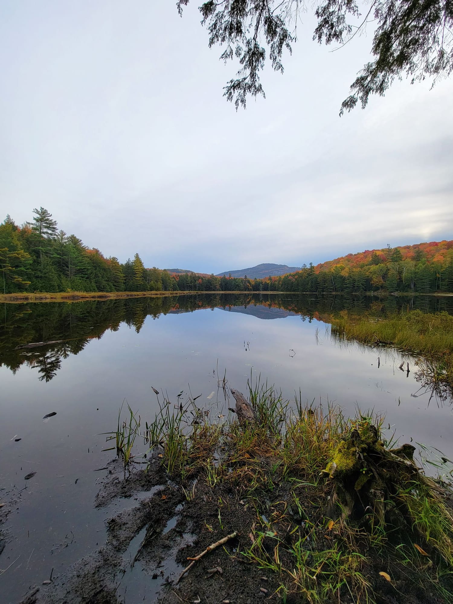 Spectacle Pond