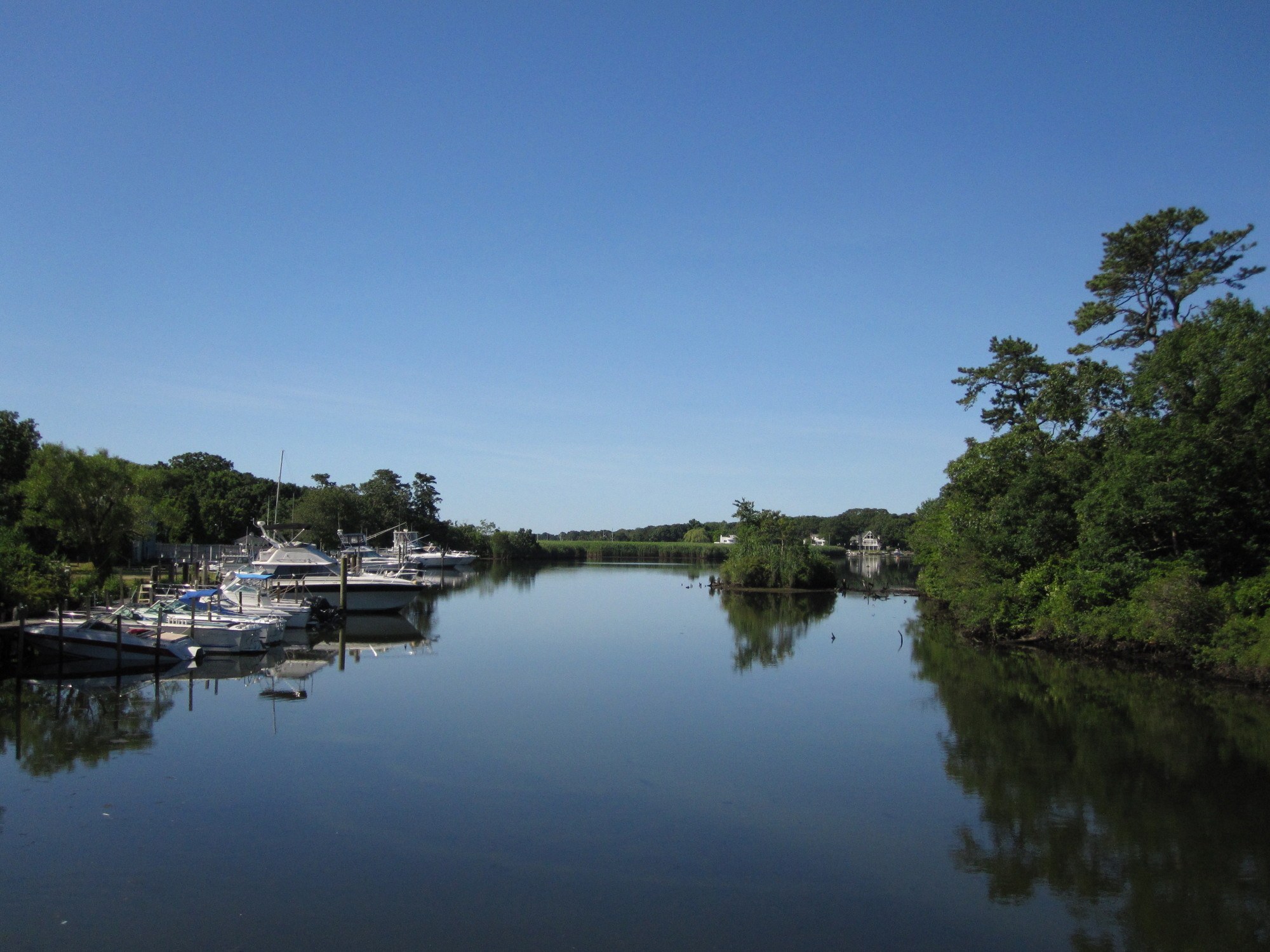 Swan River