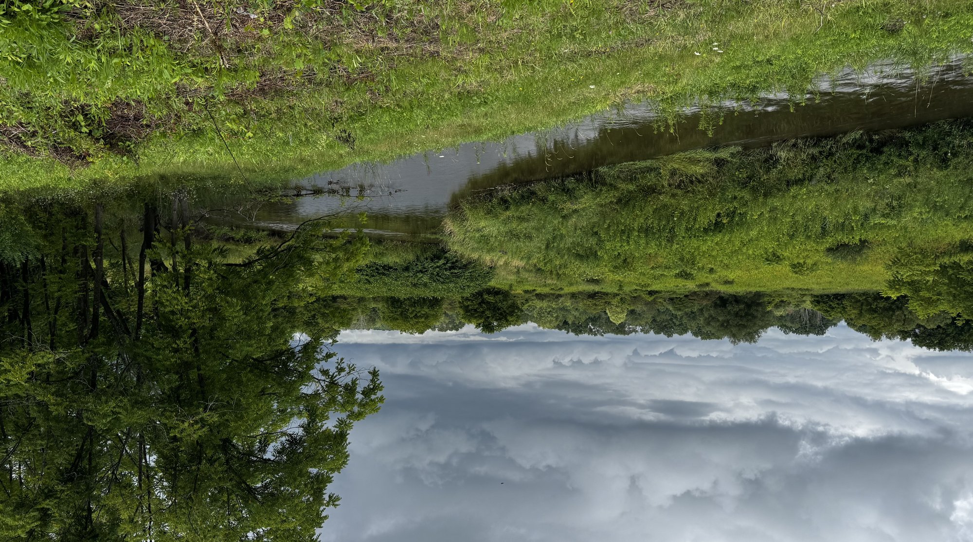 Virgil Creek