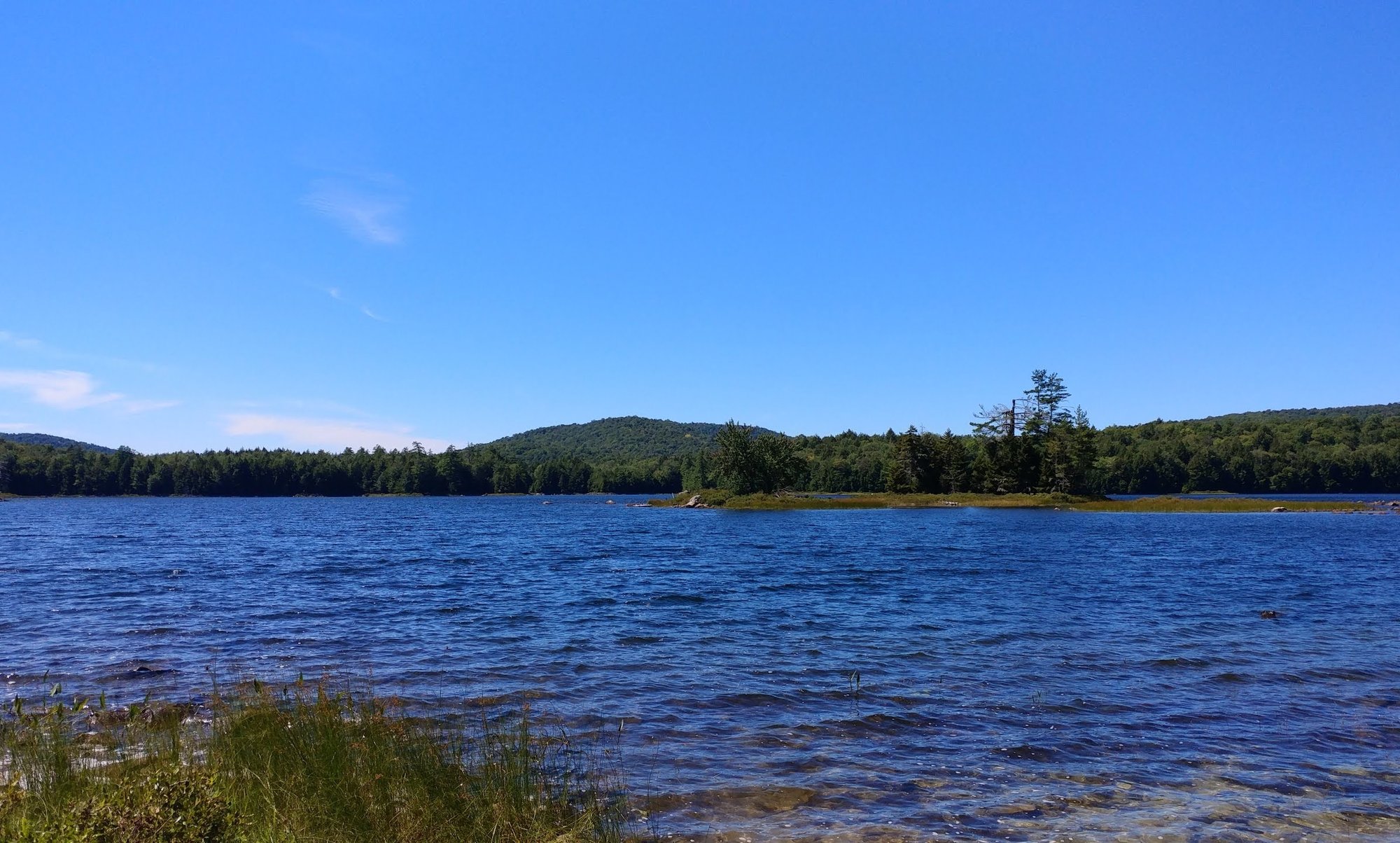 Wilcox Lake