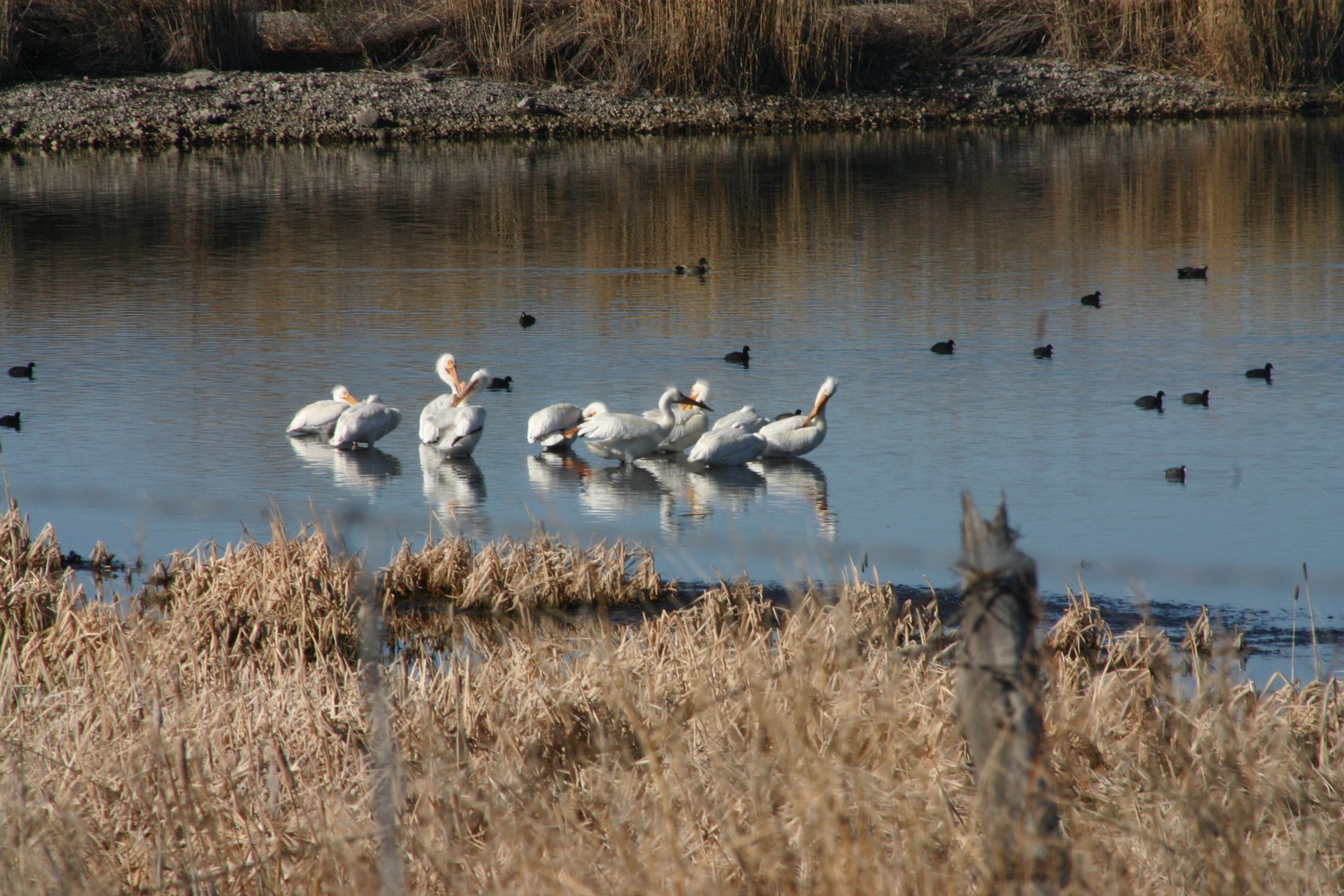 Utah Lake