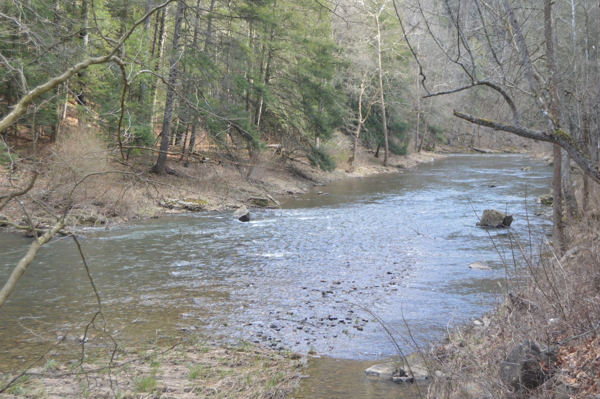 Bullpasture River