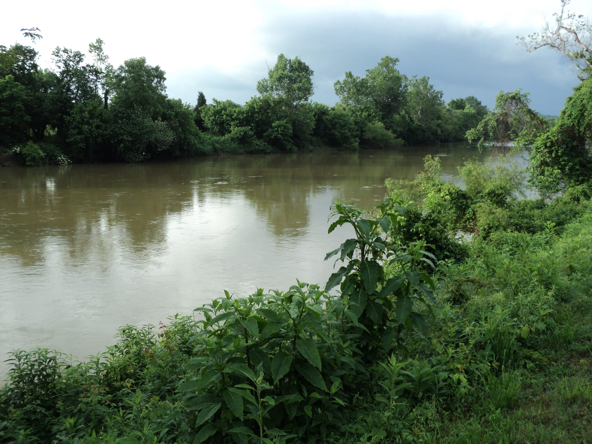 Dan River