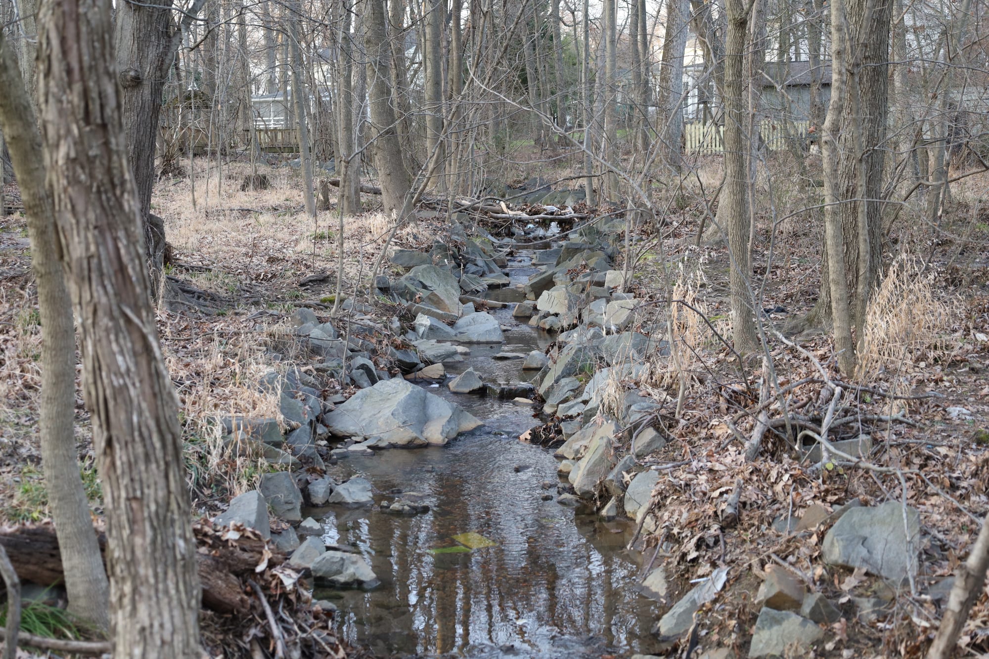 Holmes Run