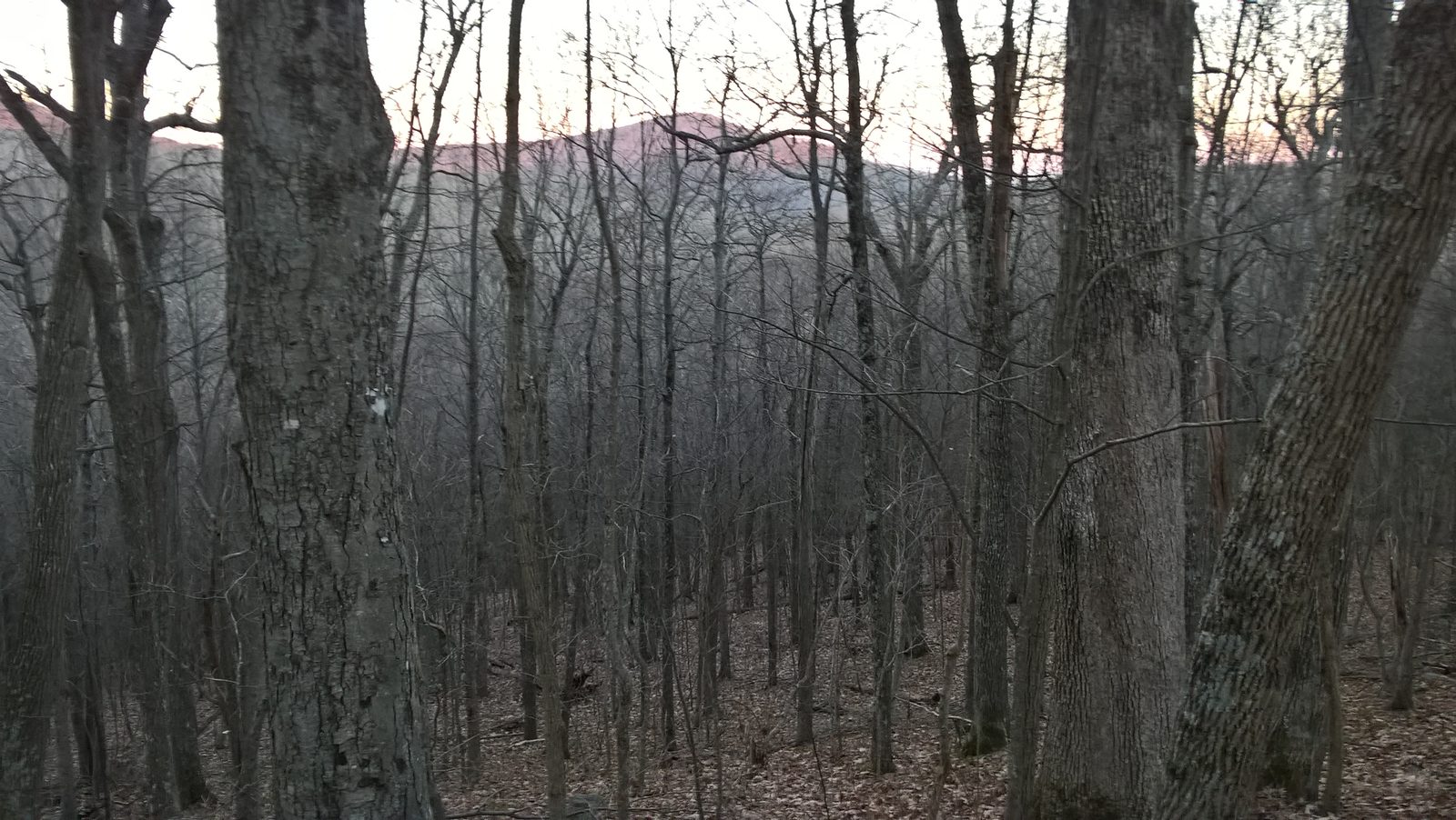 North Creek