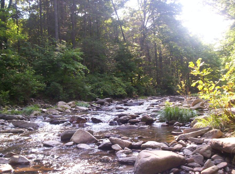 North River
