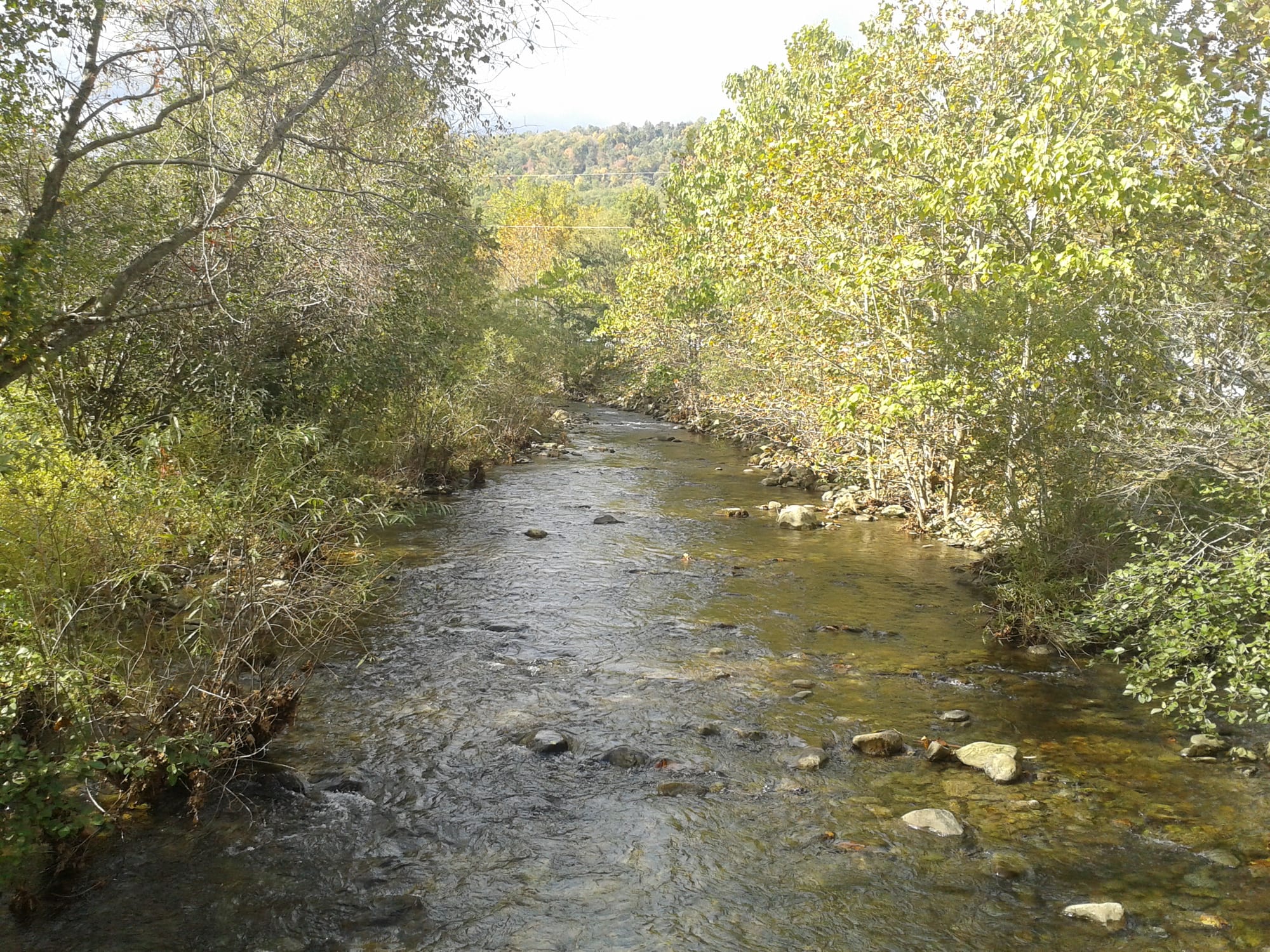 Rose River
