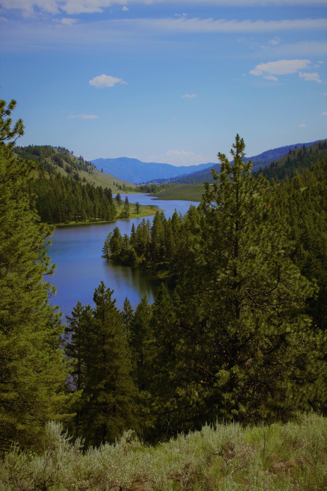 Chopaka Lake