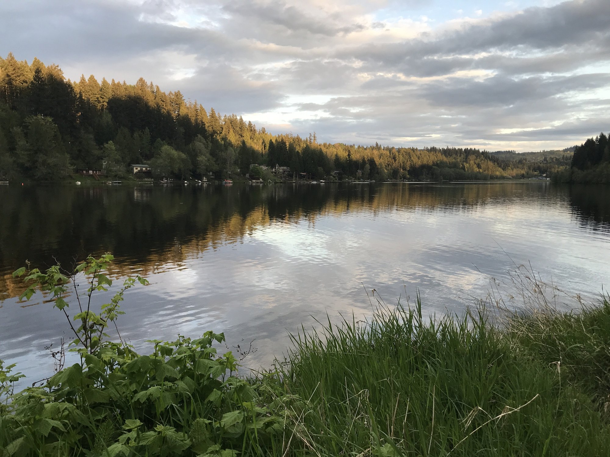 Ohop Lake