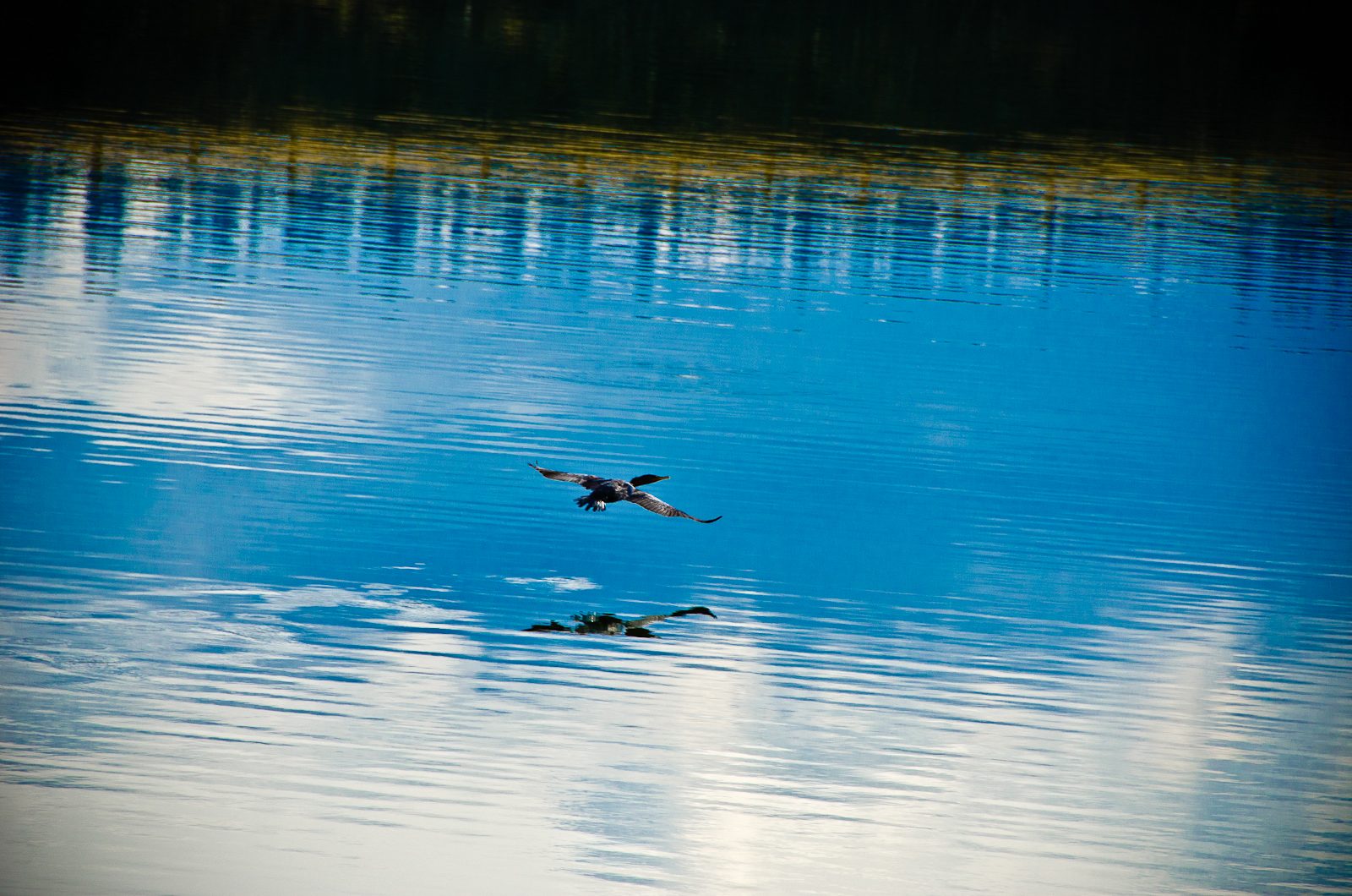 Rowland Lake
