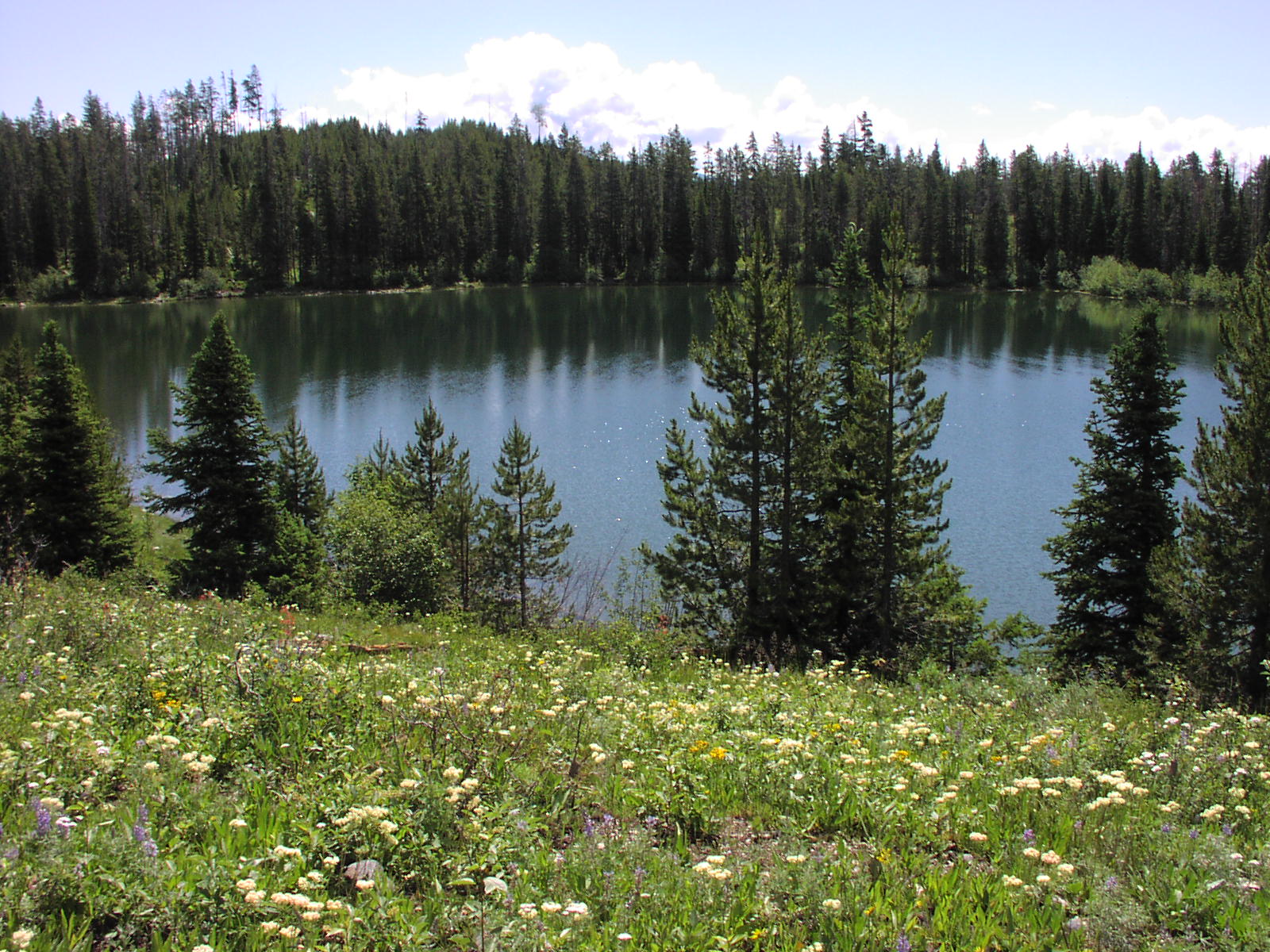 Bearpaw Lake