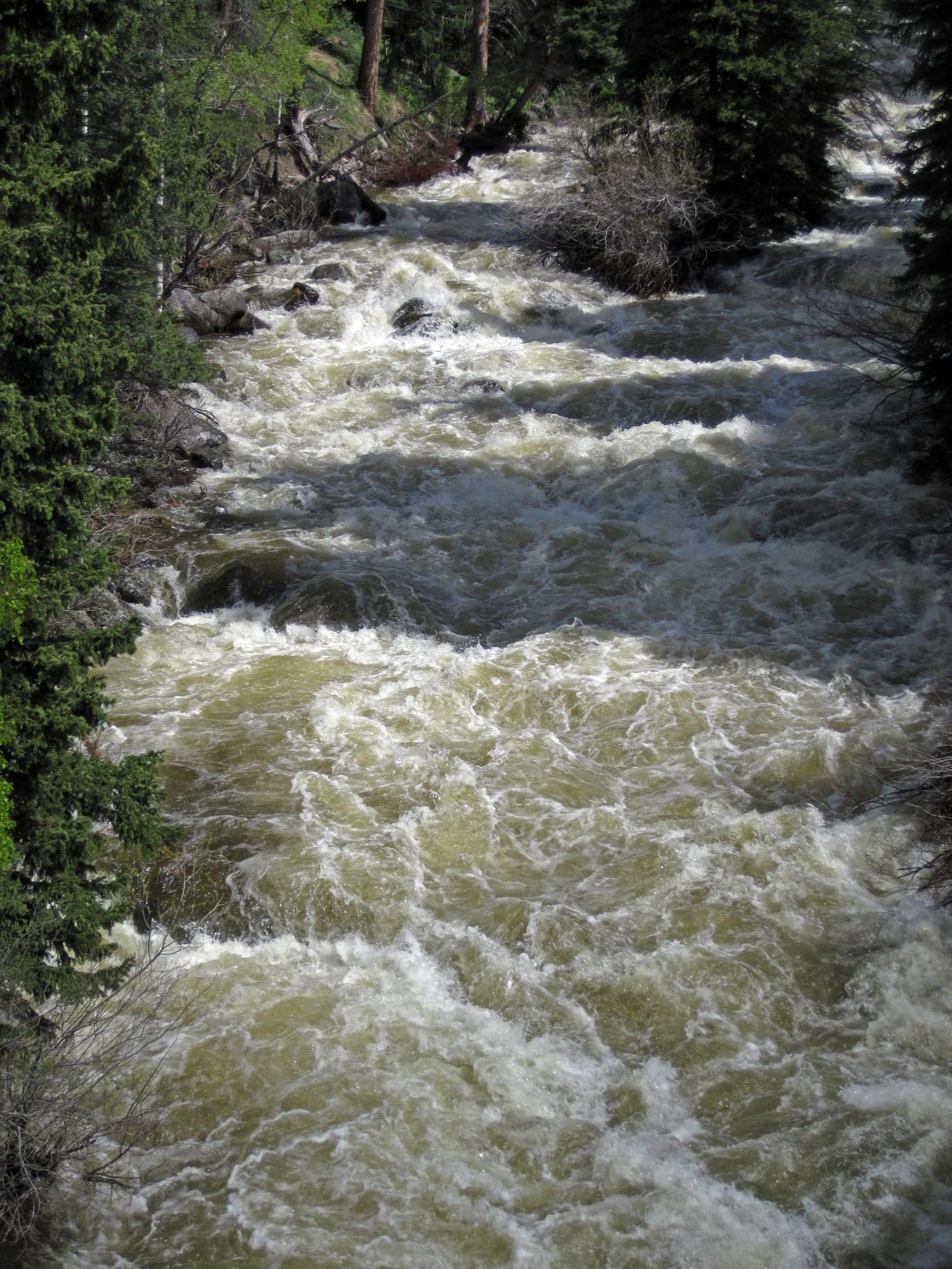 Tensleep Creek