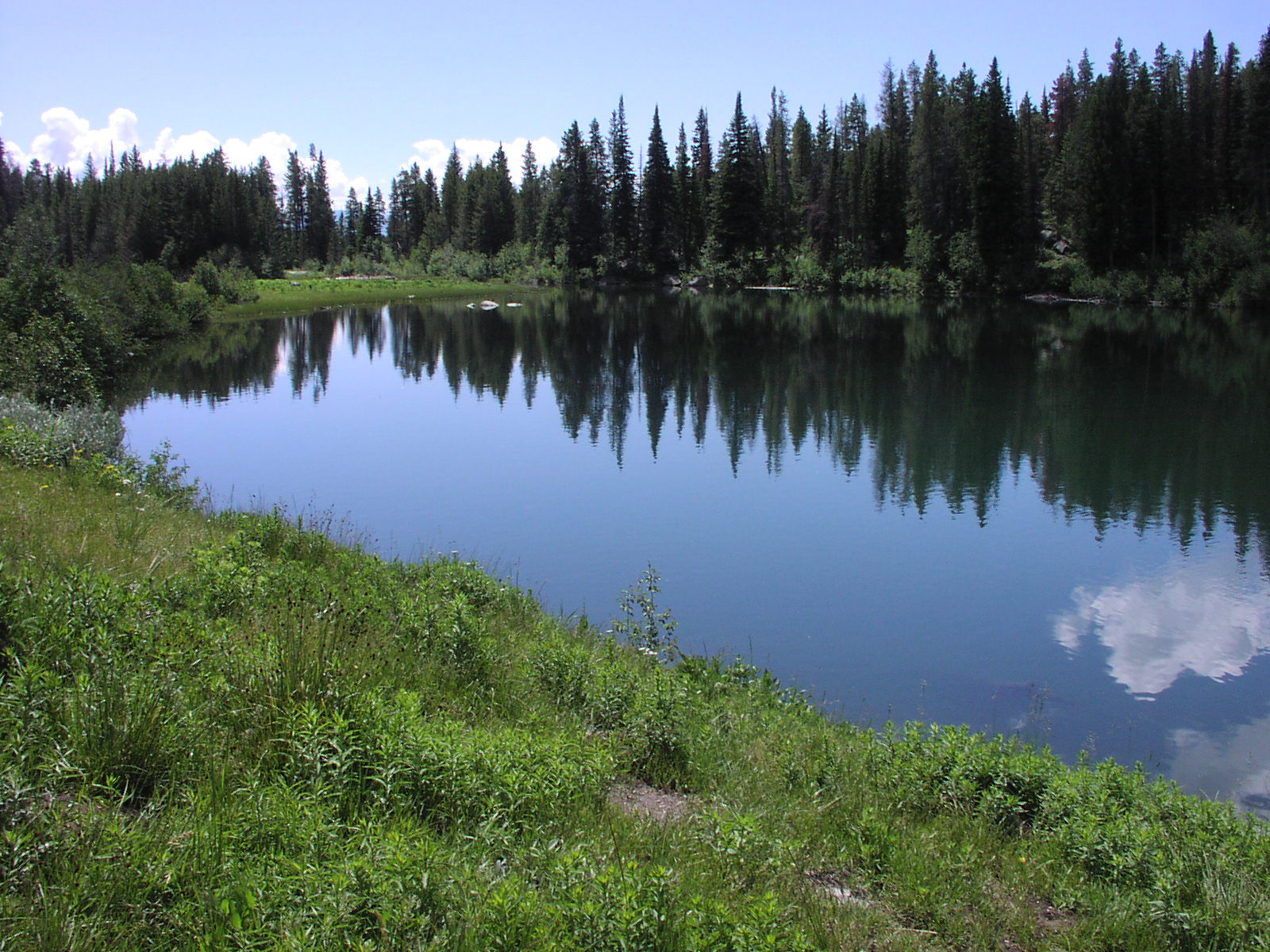 Trapper Lake